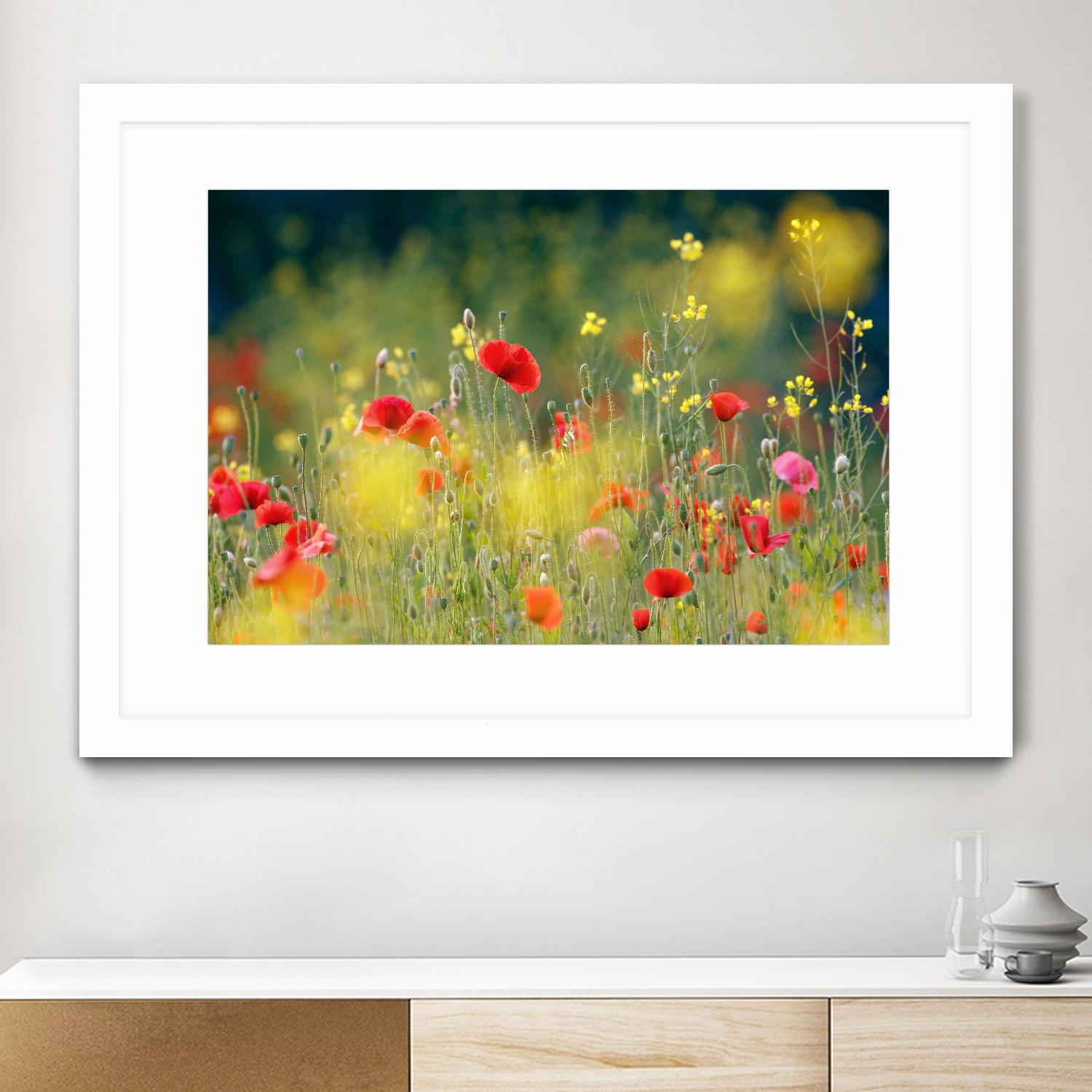 Just a Perfect Day by Roeselien Raimond on GIANT ART - multicolor photography; floral/still life; landscapes