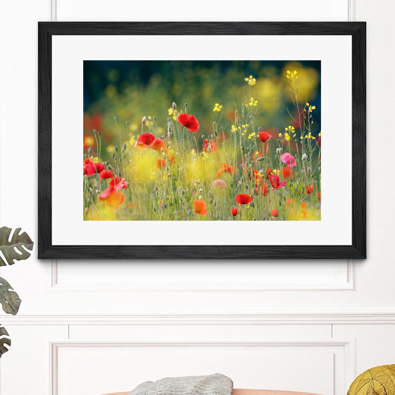 Just a Perfect Day by Roeselien Raimond on GIANT ART - multicolor photography; floral/still life; landscapes