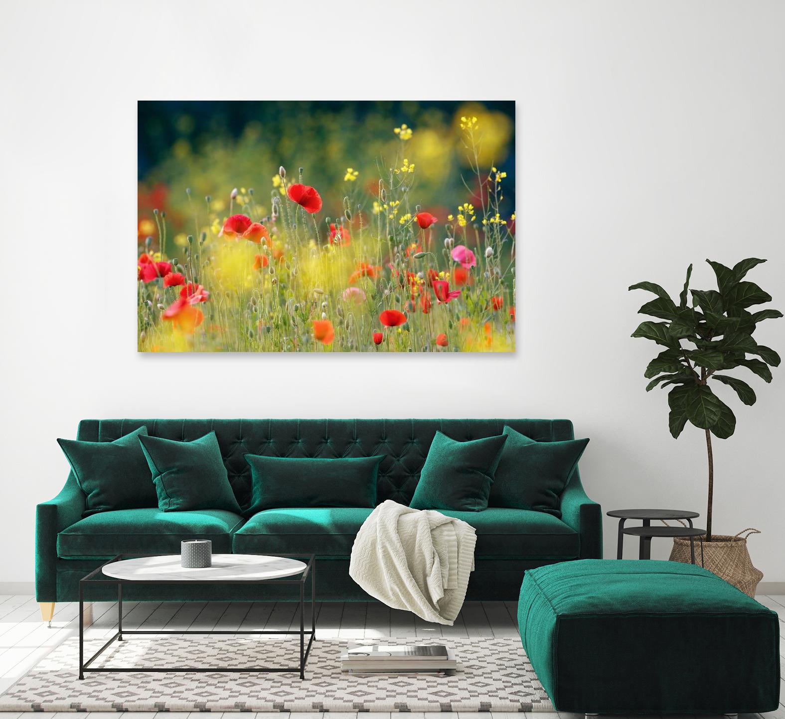 Just a Perfect Day by Roeselien Raimond on GIANT ART - multicolor photography; floral/still life; landscapes