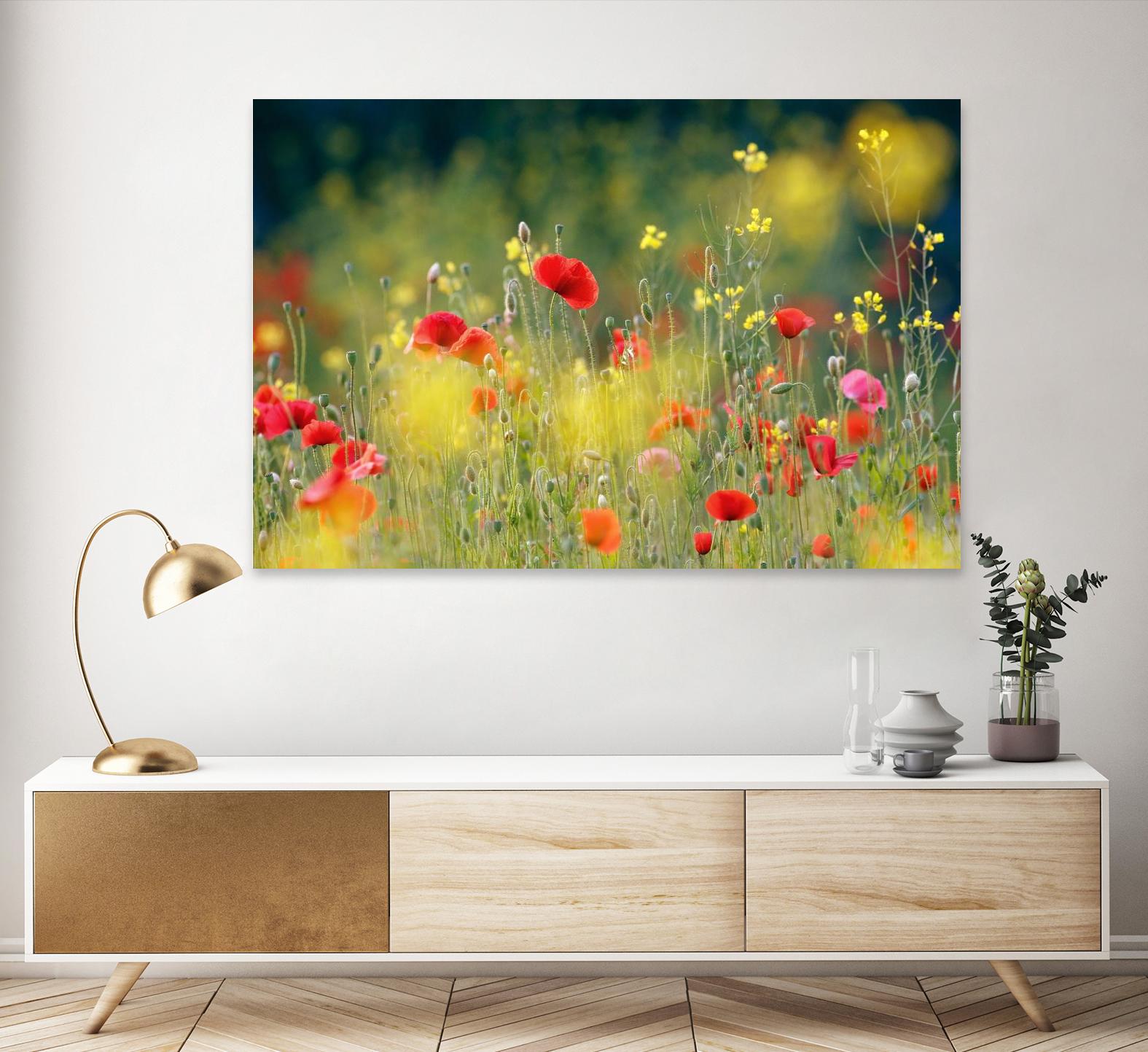 Just a Perfect Day by Roeselien Raimond on GIANT ART - multicolor photography; floral/still life; landscapes