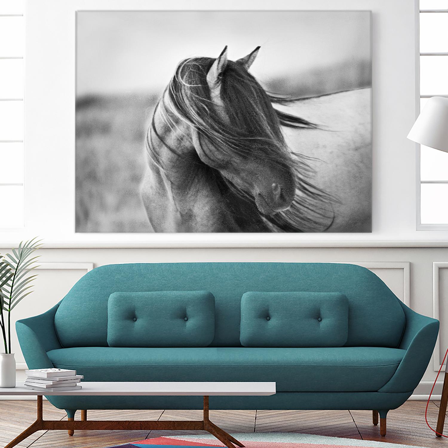 Fierce Grace by Tony Stromberg on GIANT ART - multicolor animals; photography