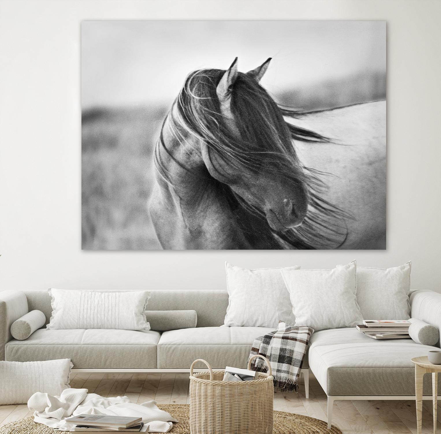 Fierce Grace by Tony Stromberg on GIANT ART - multicolor animals; photography