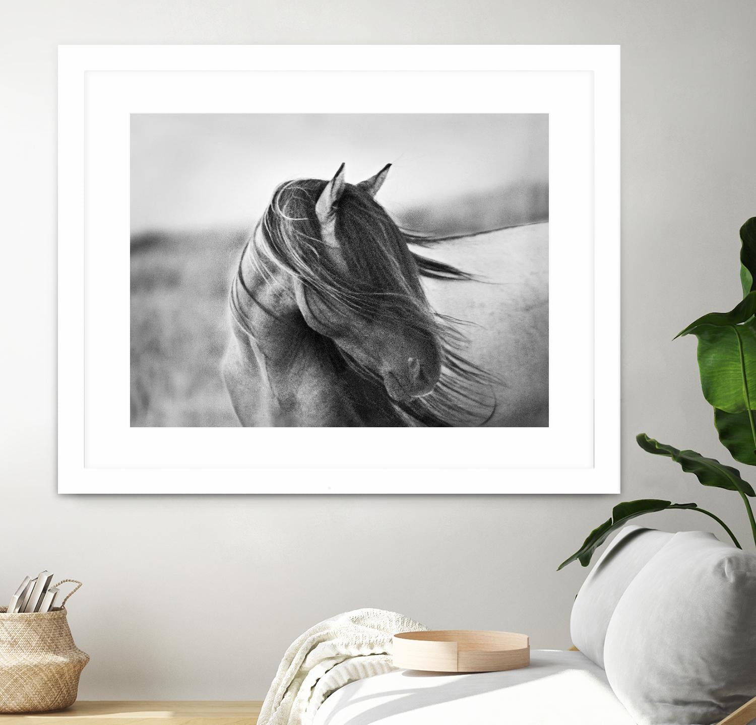 Fierce Grace by Tony Stromberg on GIANT ART - multicolor animals; photography