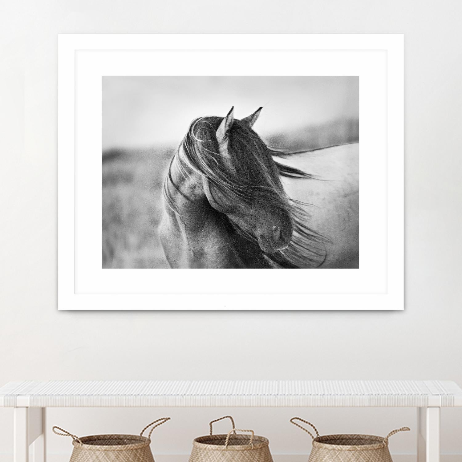 Fierce Grace by Tony Stromberg on GIANT ART - multicolor animals; photography