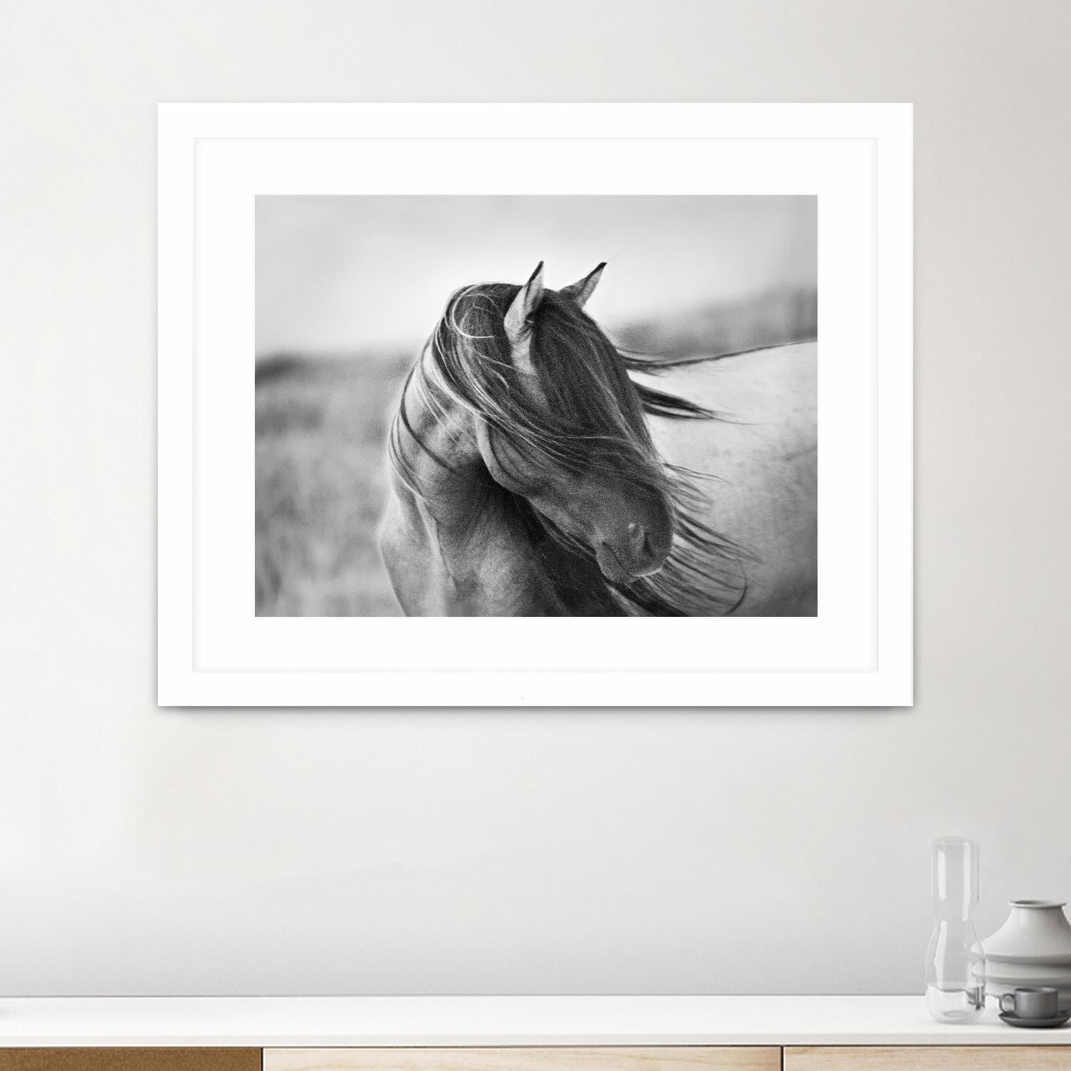 Fierce Grace by Tony Stromberg on GIANT ART - multicolor animals; photography