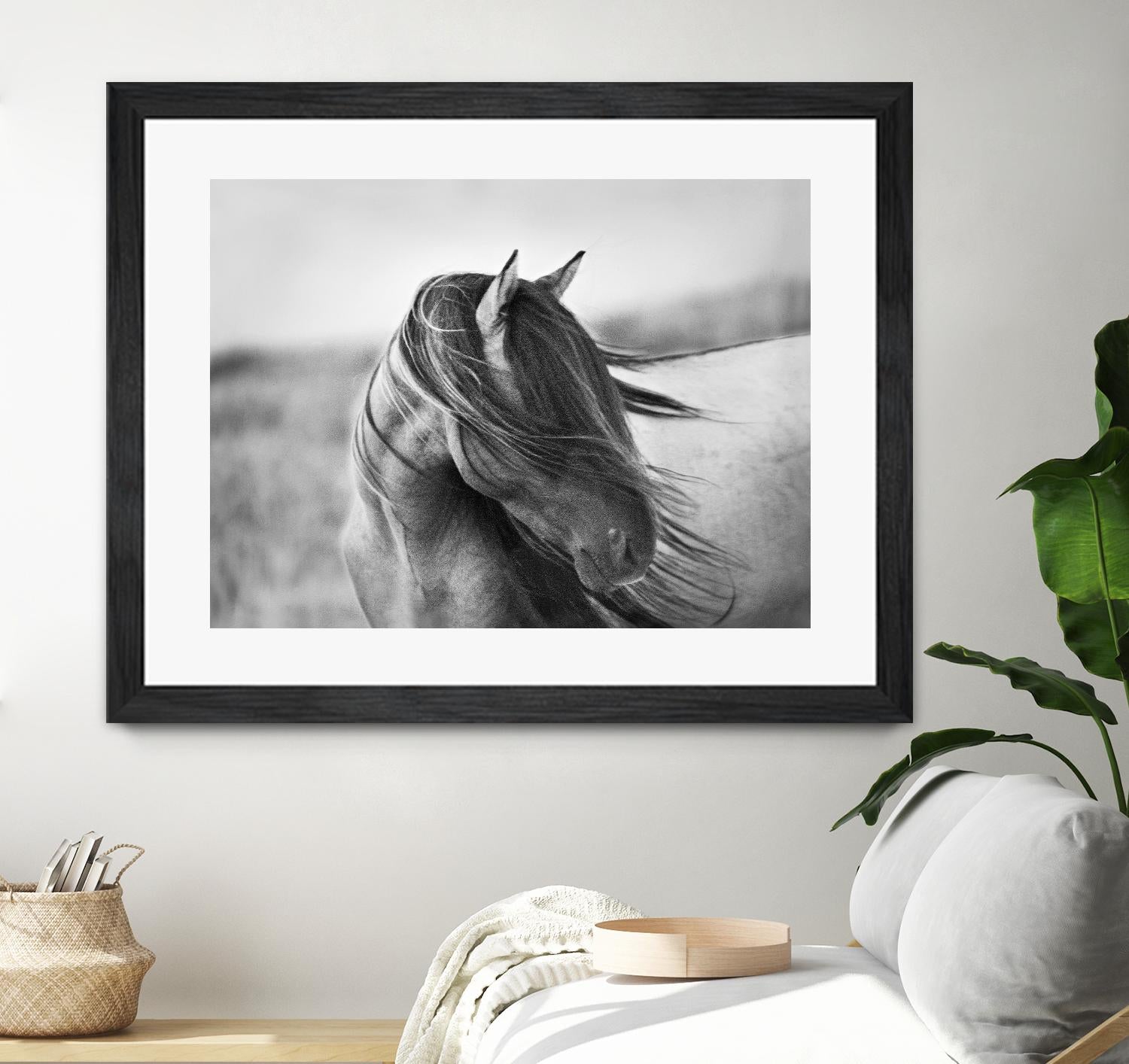 Fierce Grace by Tony Stromberg on GIANT ART - multicolor animals; photography