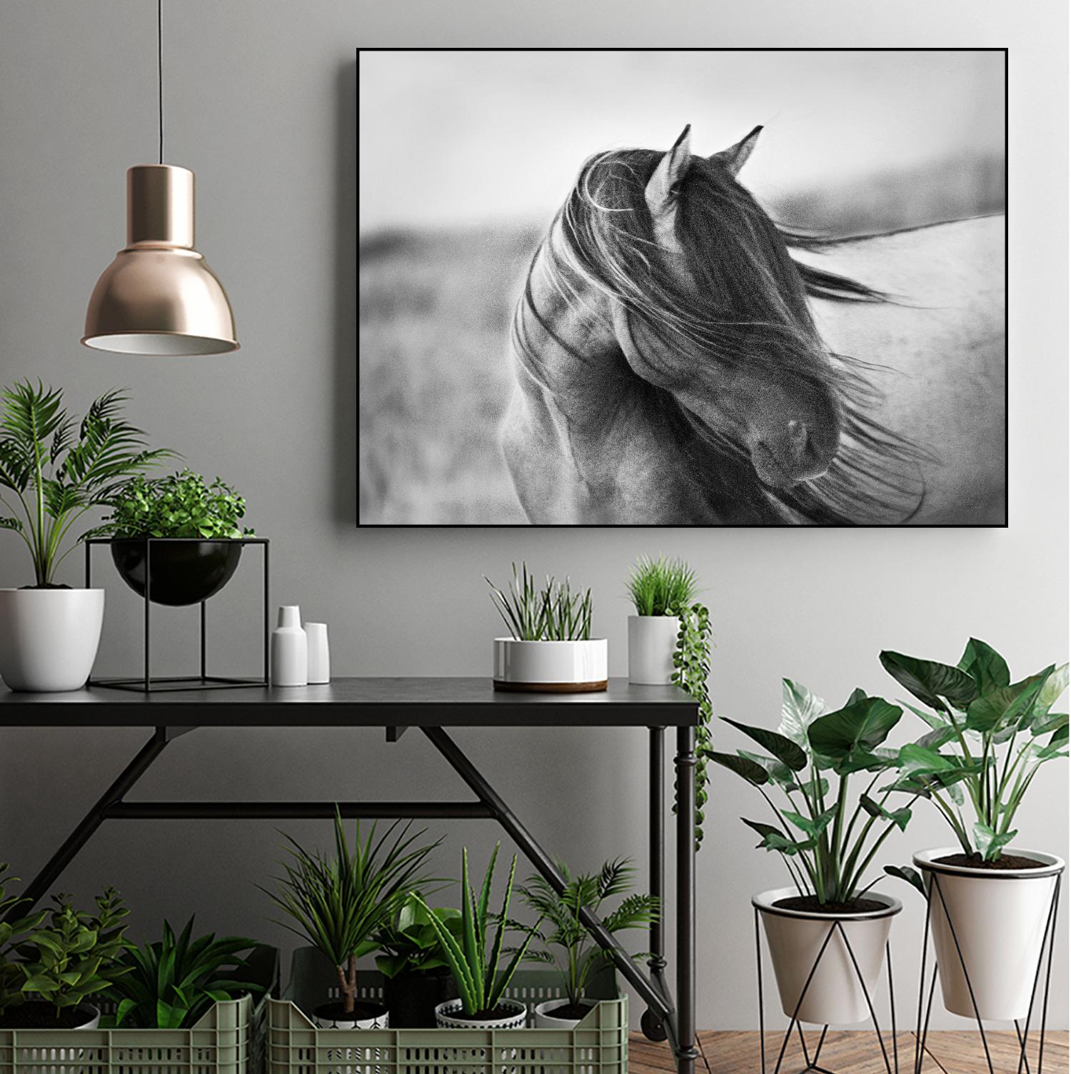 Fierce Grace by Tony Stromberg on GIANT ART - multicolor animals; photography