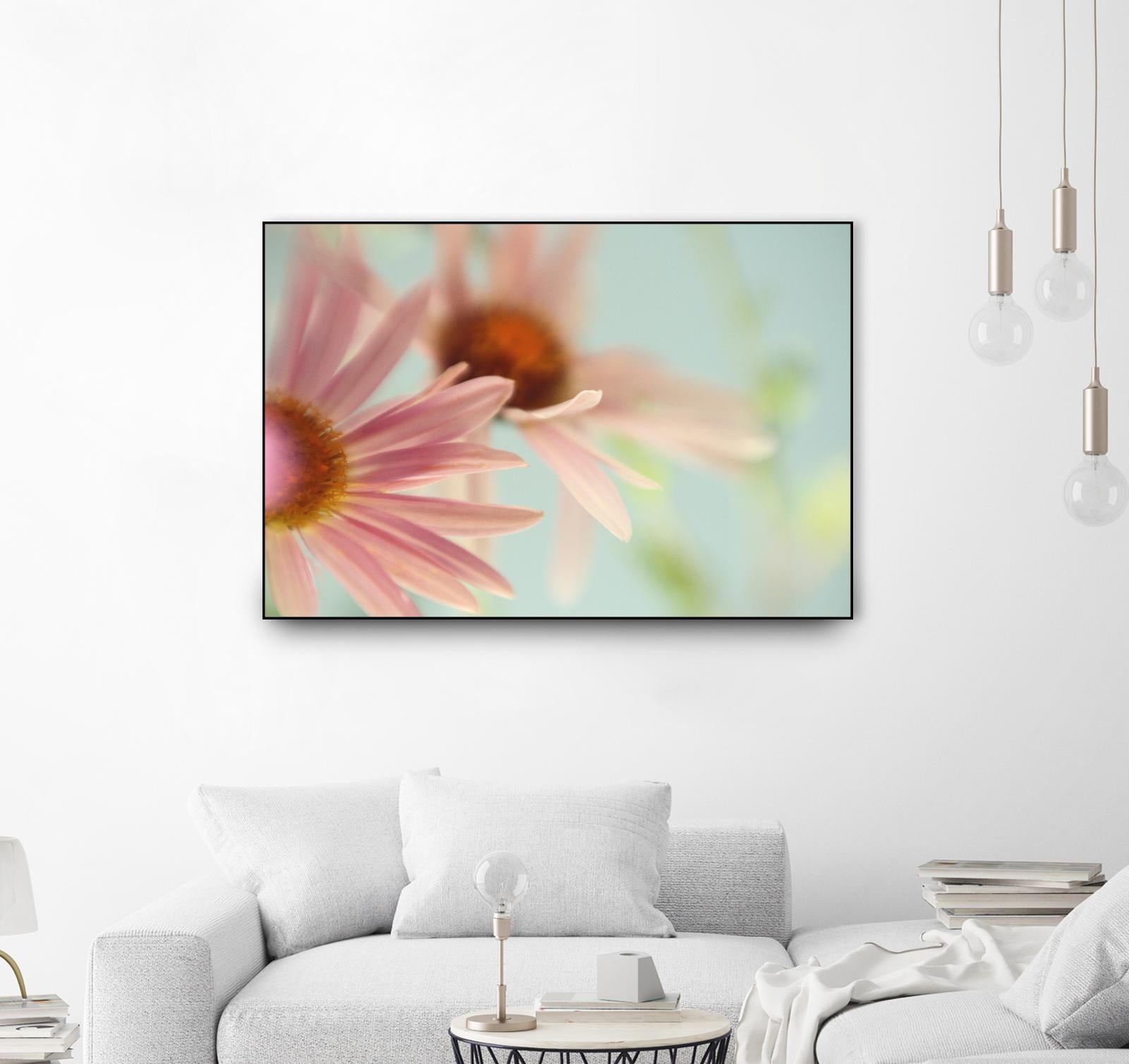 Daisy Days by Judy Stalus on GIANT ART - multicolor photography; floral/still life