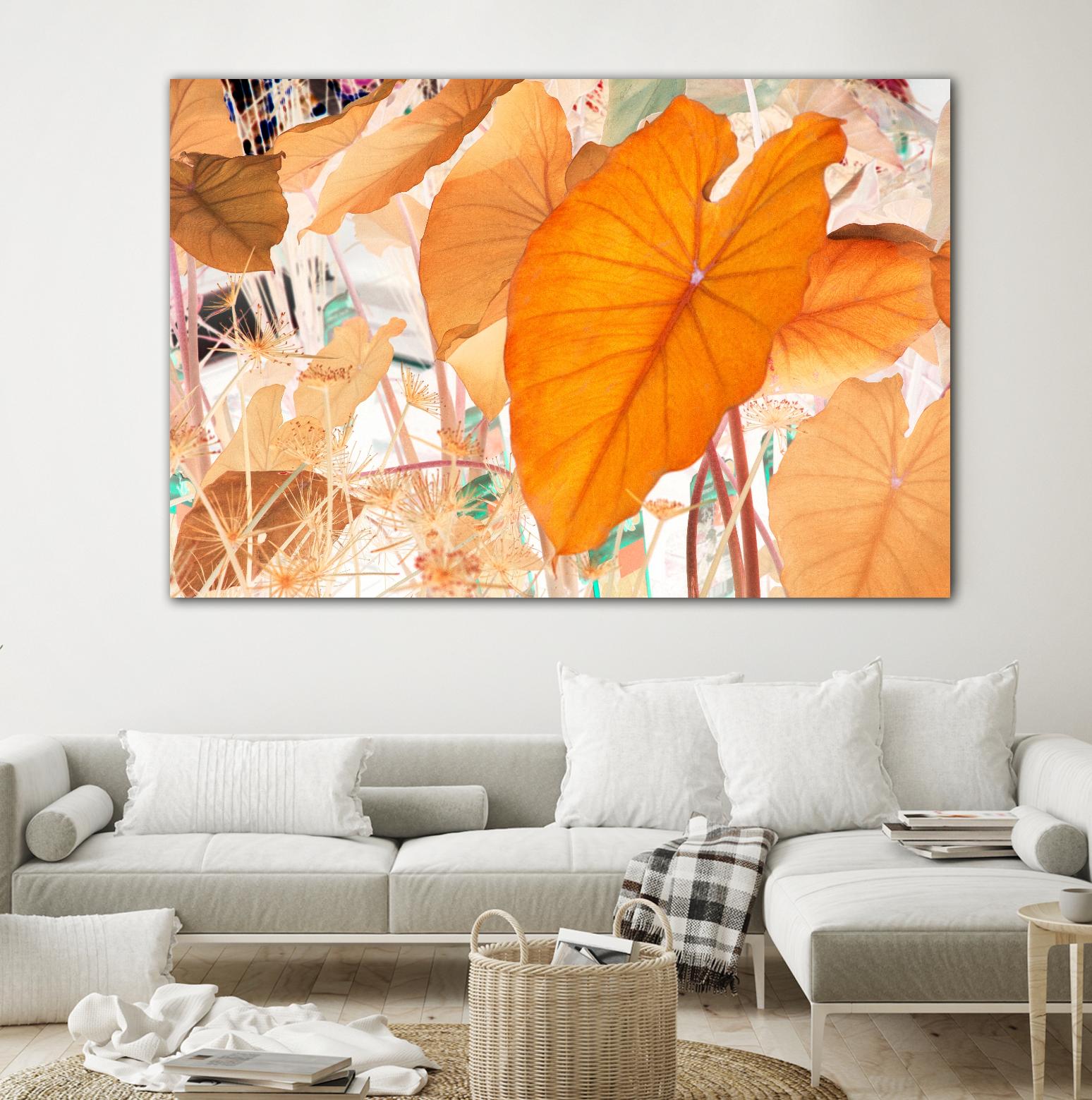 Elephant Ears by Judy Stalus on GIANT ART - multicolor photography; floral/still life; contemporary
