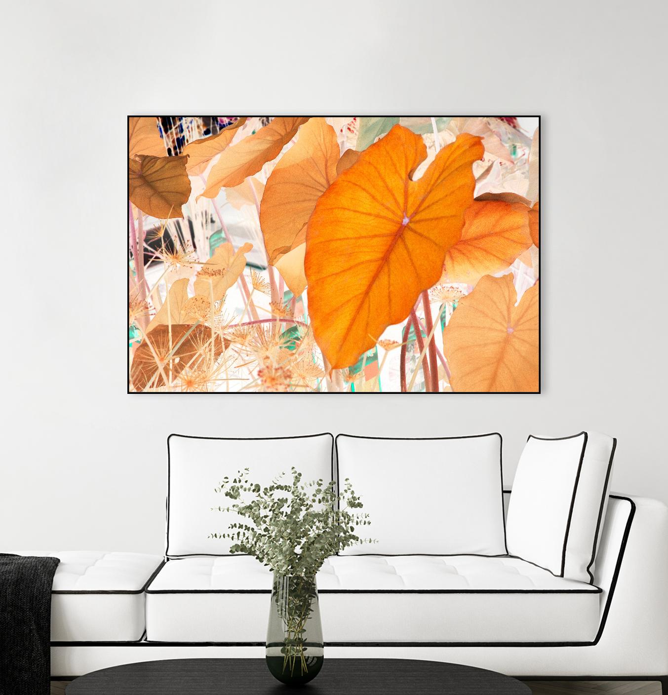 Elephant Ears by Judy Stalus on GIANT ART - multicolor photography; floral/still life; contemporary