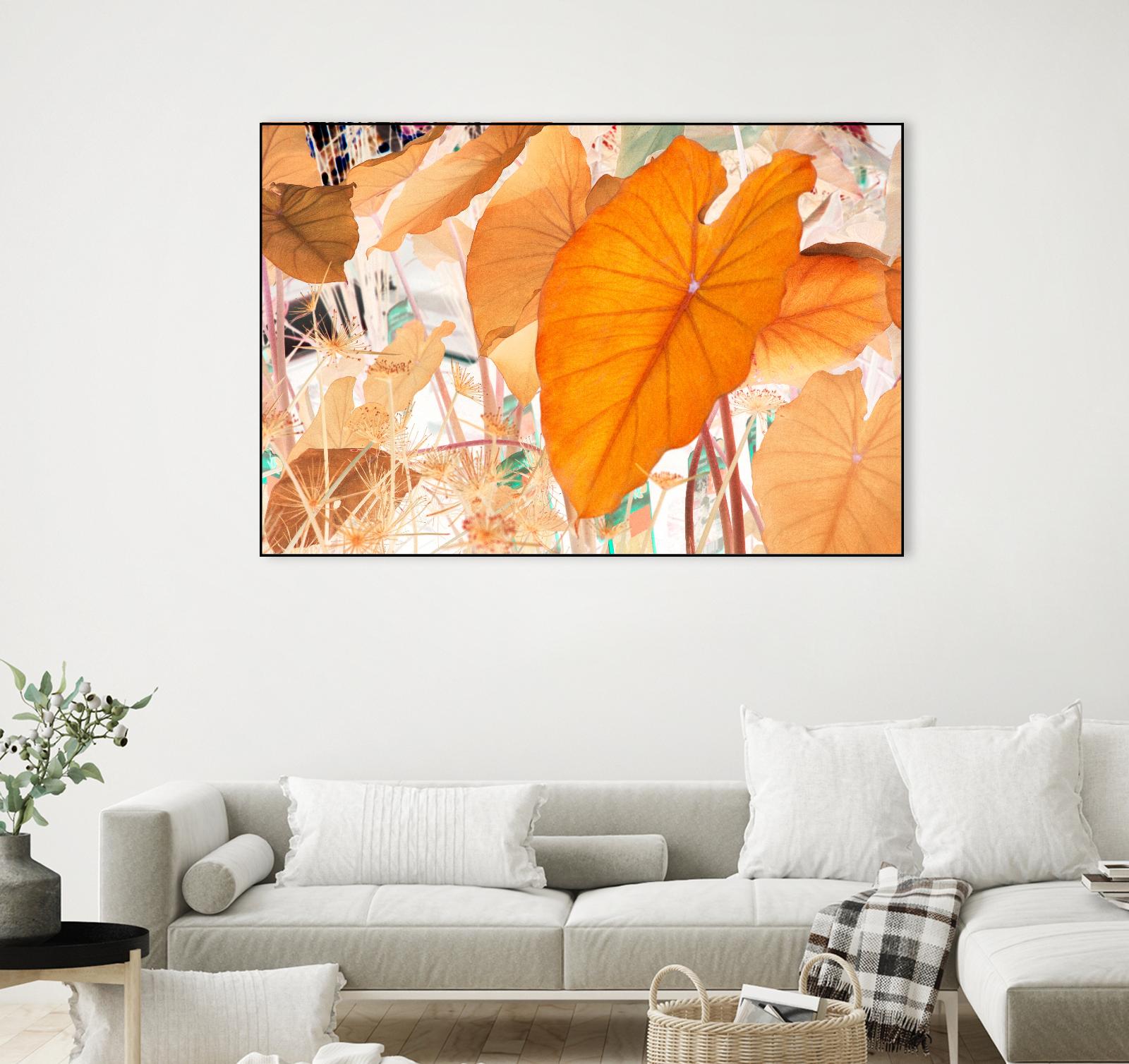 Elephant Ears by Judy Stalus on GIANT ART - multicolor photography; floral/still life; contemporary