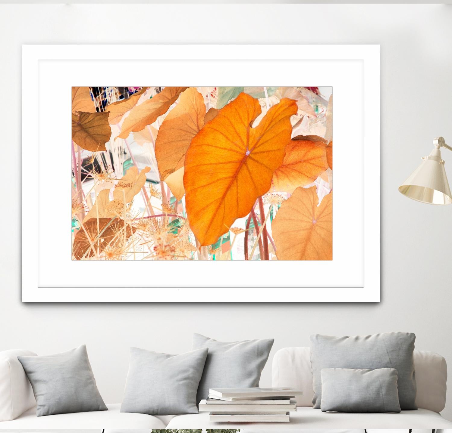 Elephant Ears by Judy Stalus on GIANT ART - multicolor photography; floral/still life; contemporary