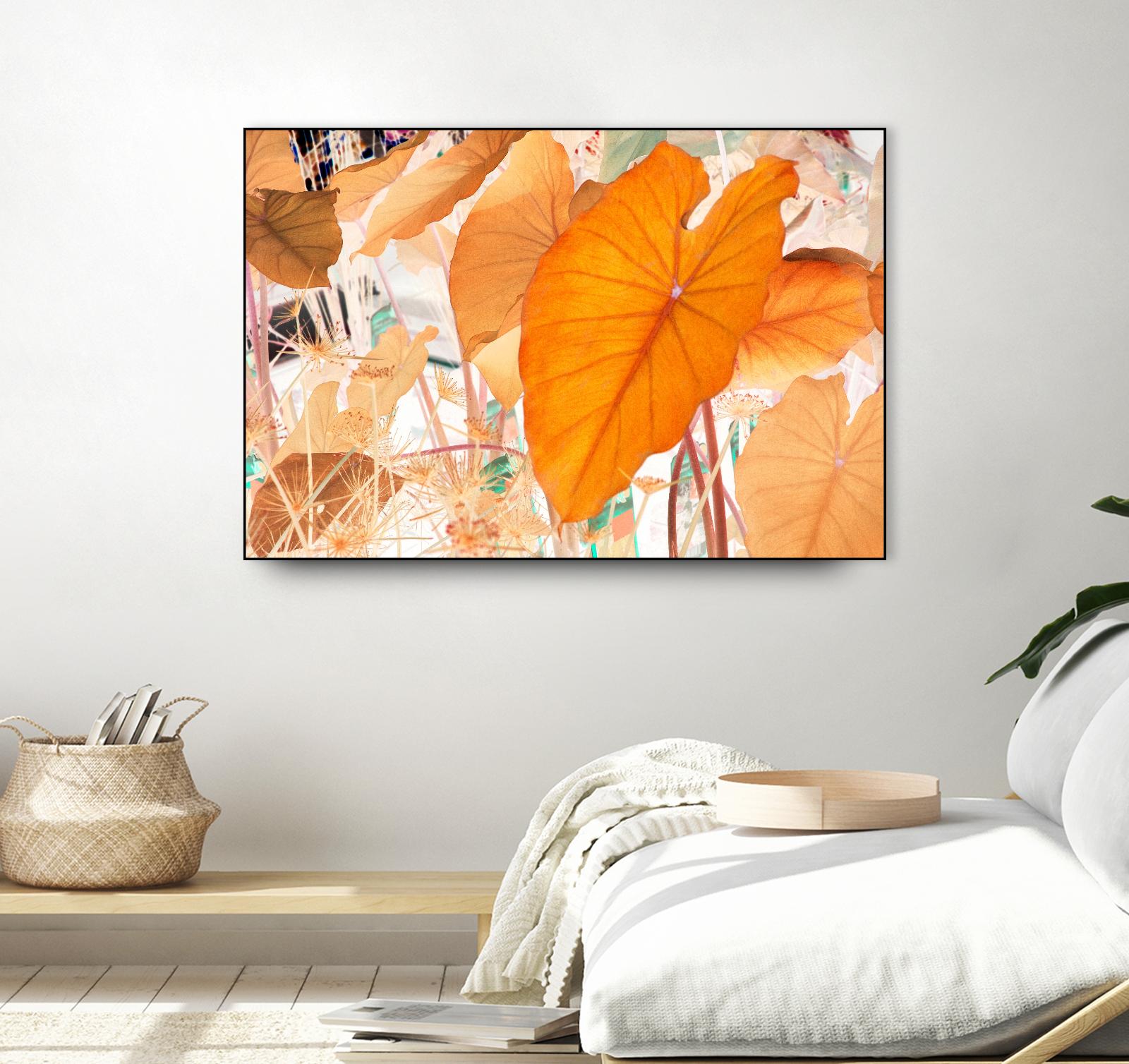 Elephant Ears by Judy Stalus on GIANT ART - multicolor photography; floral/still life; contemporary