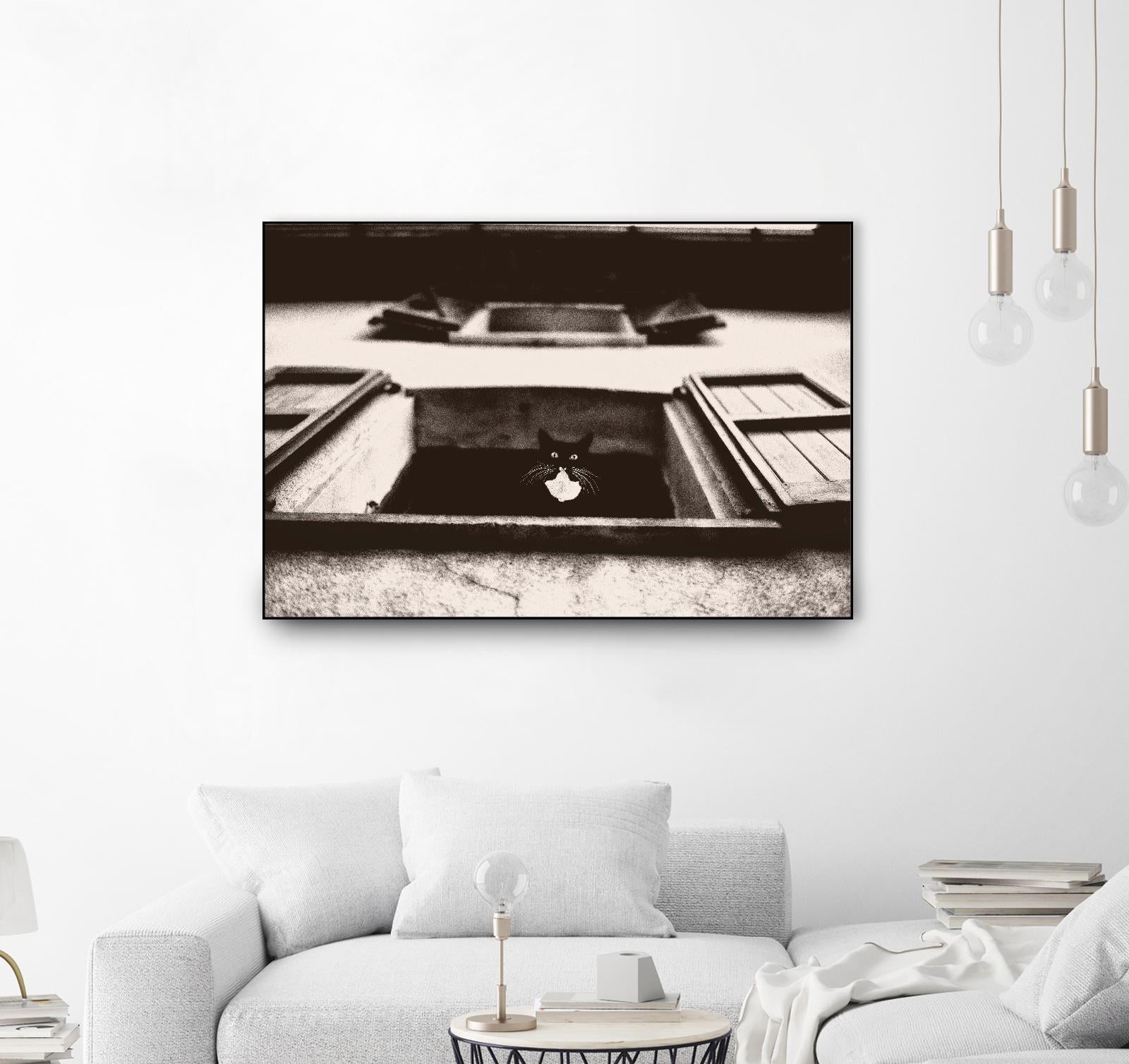 Dali the Cat by Lars Van de Goor on GIANT ART - beige animals