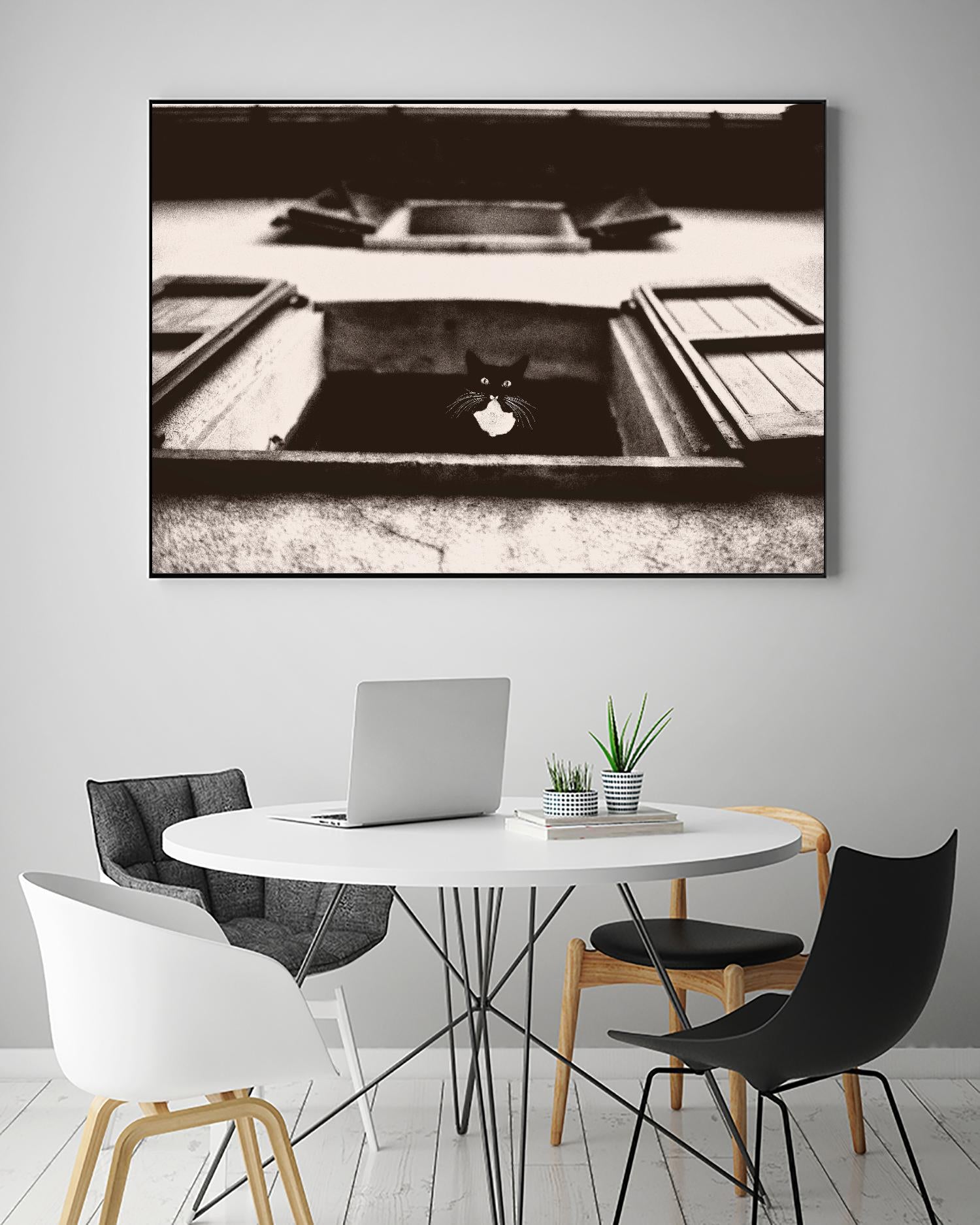 Dali the Cat by Lars Van de Goor on GIANT ART - beige animals