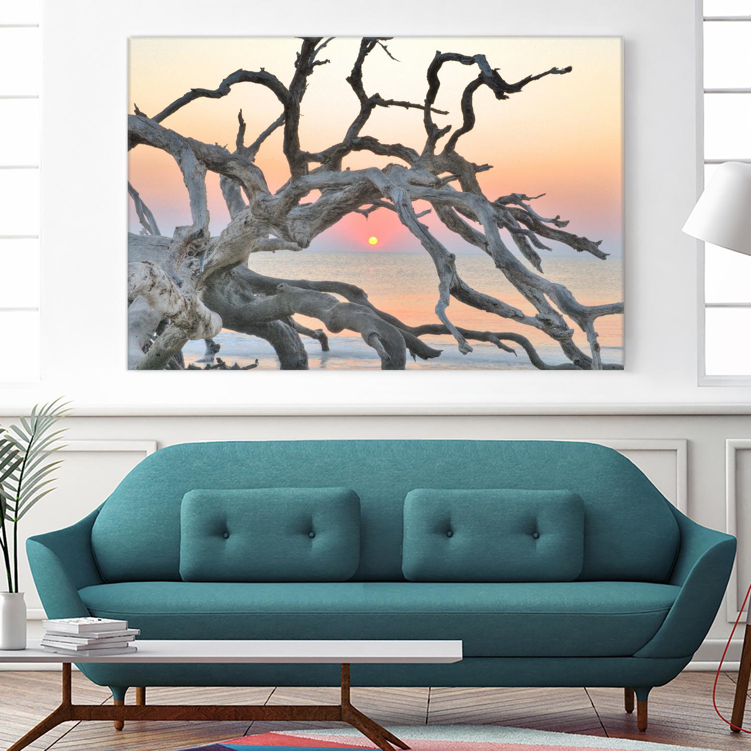 Sunrise Sentinel by Steve Vaughn on GIANT ART - multicolor photography; landscapes; coastal