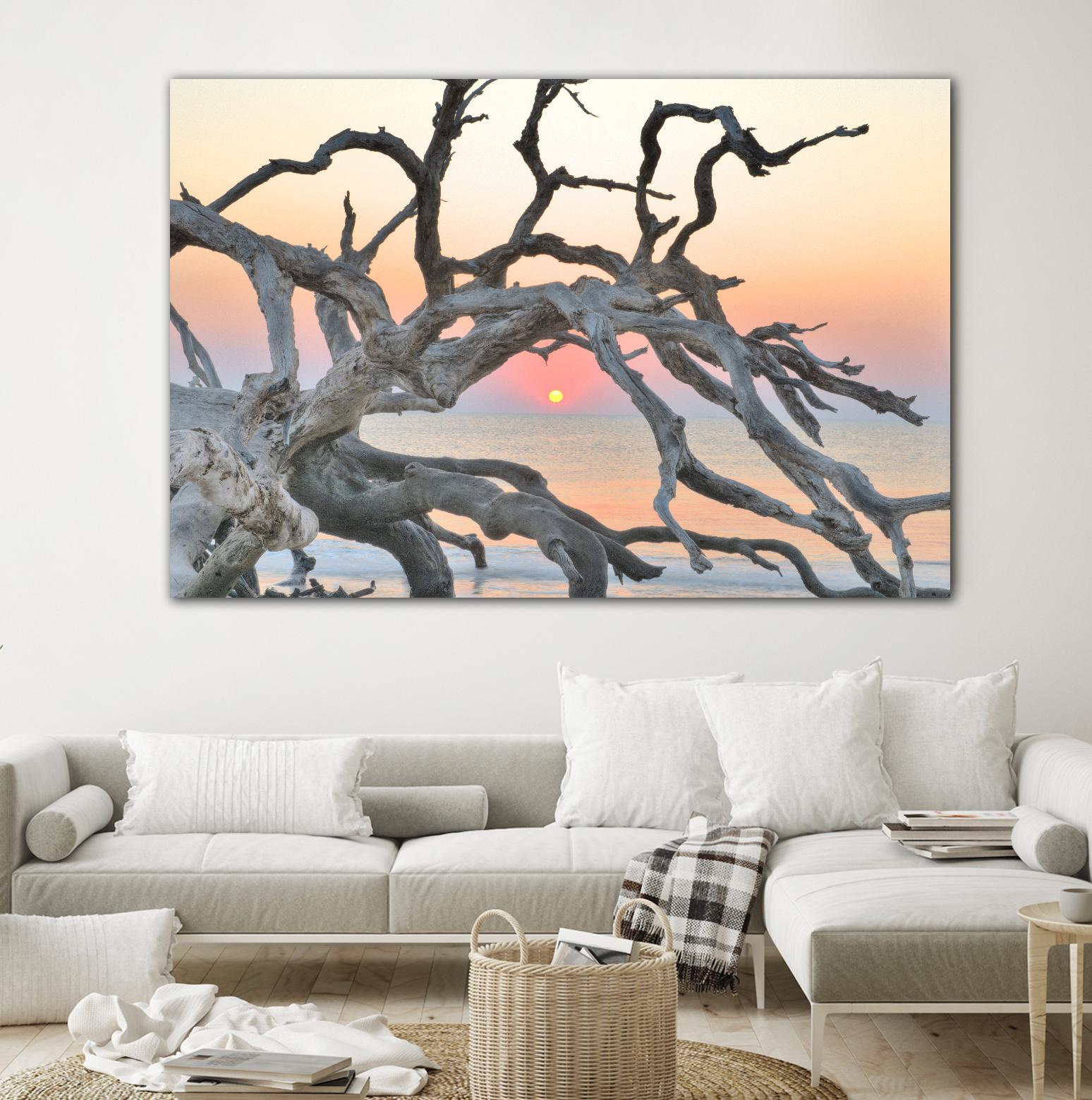 Sunrise Sentinel by Steve Vaughn on GIANT ART - multicolor photography; landscapes; coastal