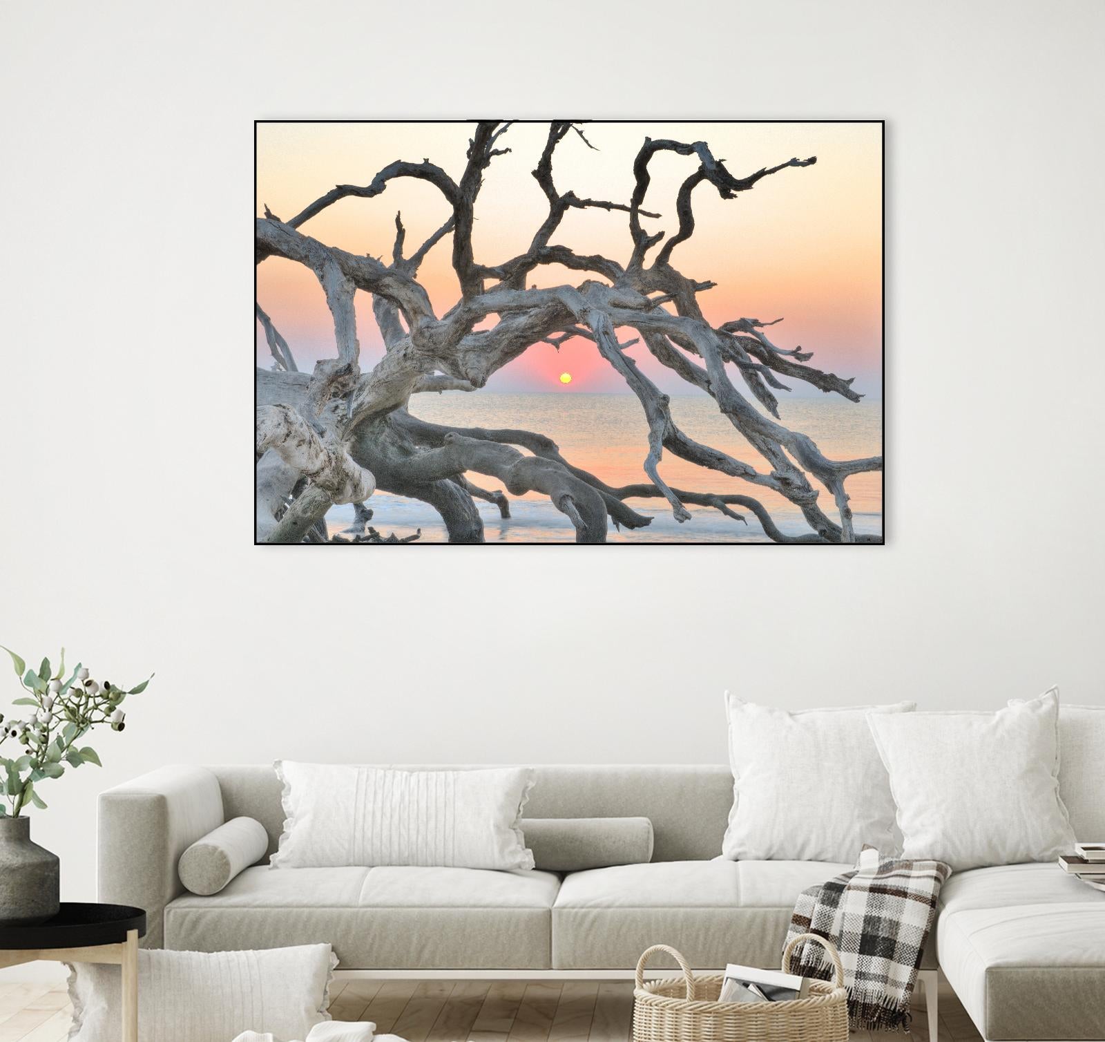 Sunrise Sentinel by Steve Vaughn on GIANT ART - multicolor photography; landscapes; coastal