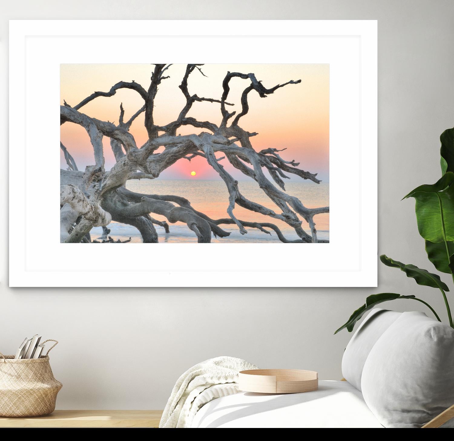 Sunrise Sentinel by Steve Vaughn on GIANT ART - multicolor photography; landscapes; coastal