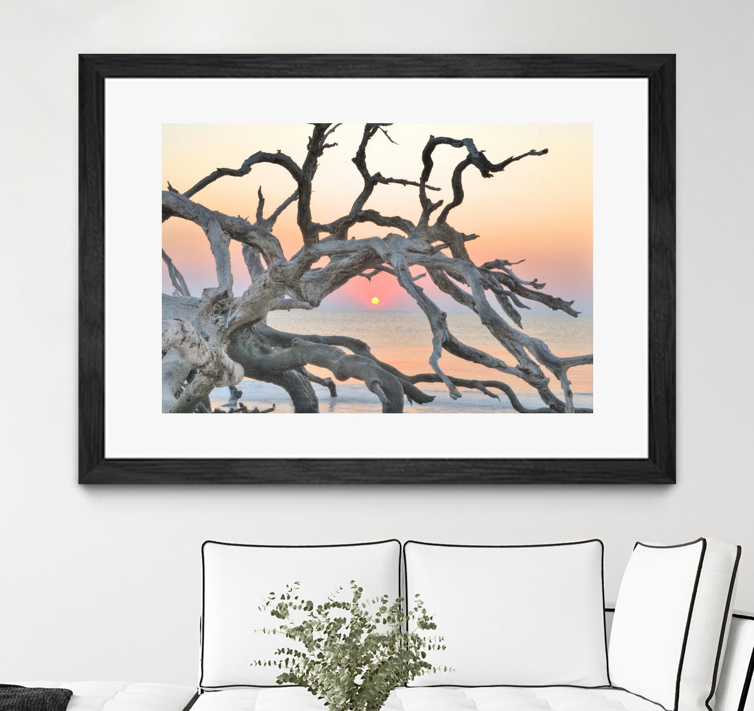 Sunrise Sentinel by Steve Vaughn on GIANT ART - multicolor photography; landscapes; coastal