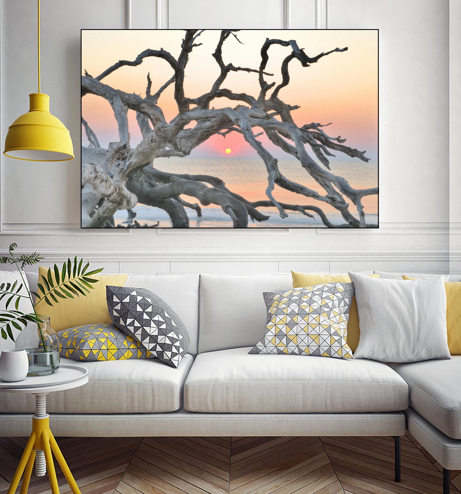 Sunrise Sentinel by Steve Vaughn on GIANT ART - multicolor photography; landscapes; coastal