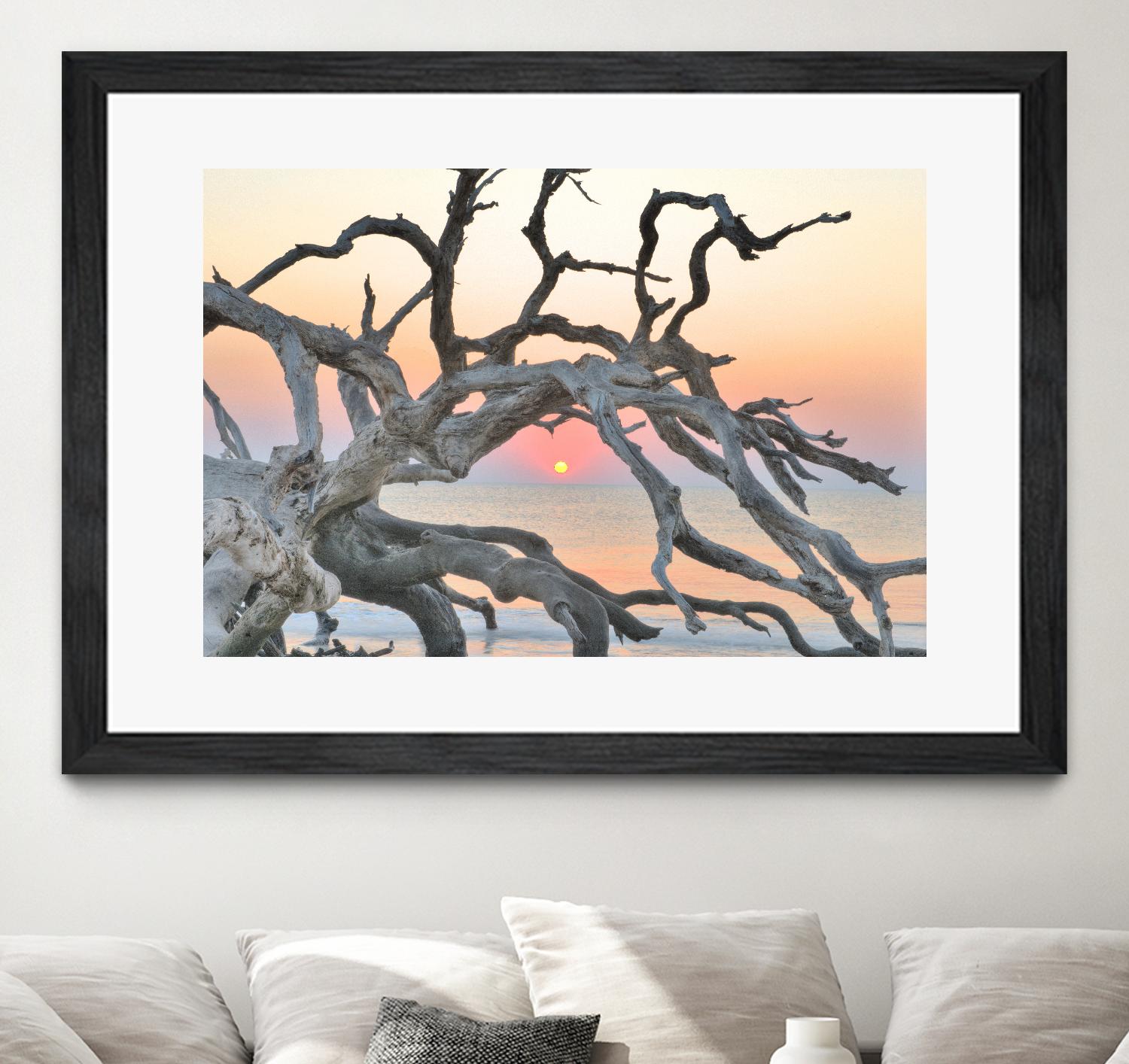 Sunrise Sentinel by Steve Vaughn on GIANT ART - multicolor photography; landscapes; coastal