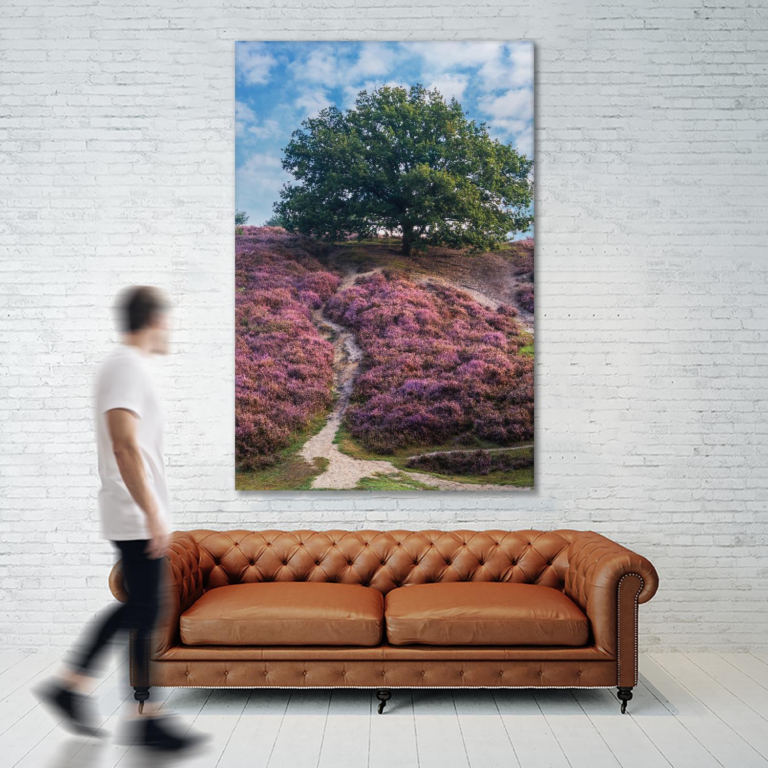 Purple Heath by Lars Van de Goor on GIANT ART - multicolor photography; landscapes