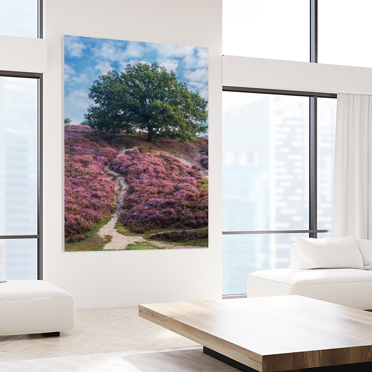 Purple Heath by Lars Van de Goor on GIANT ART - multicolor photography; landscapes