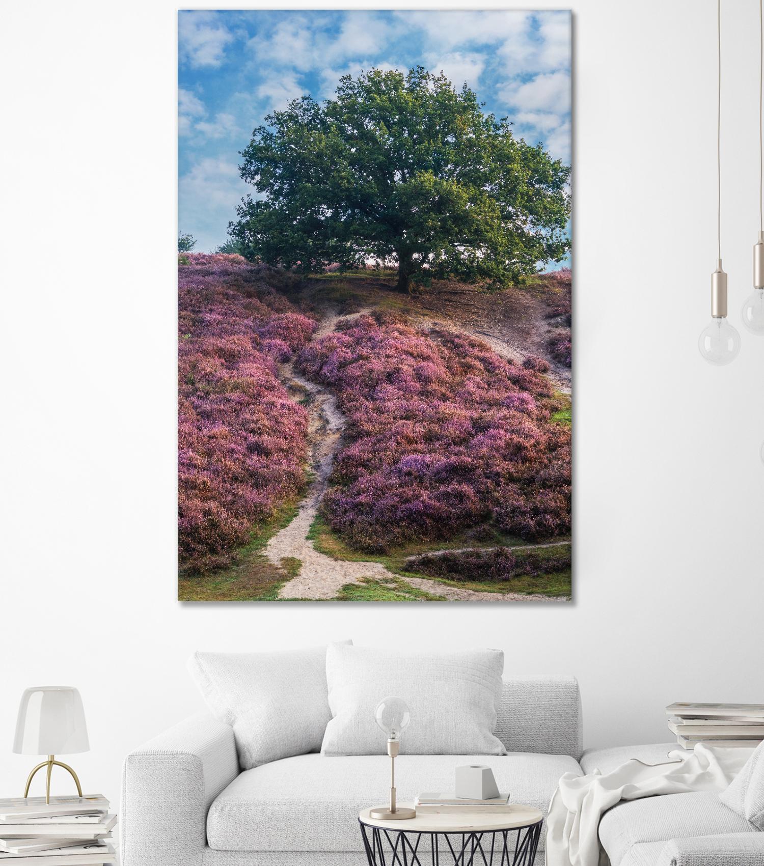 Purple Heath by Lars Van de Goor on GIANT ART - multicolor photography; landscapes