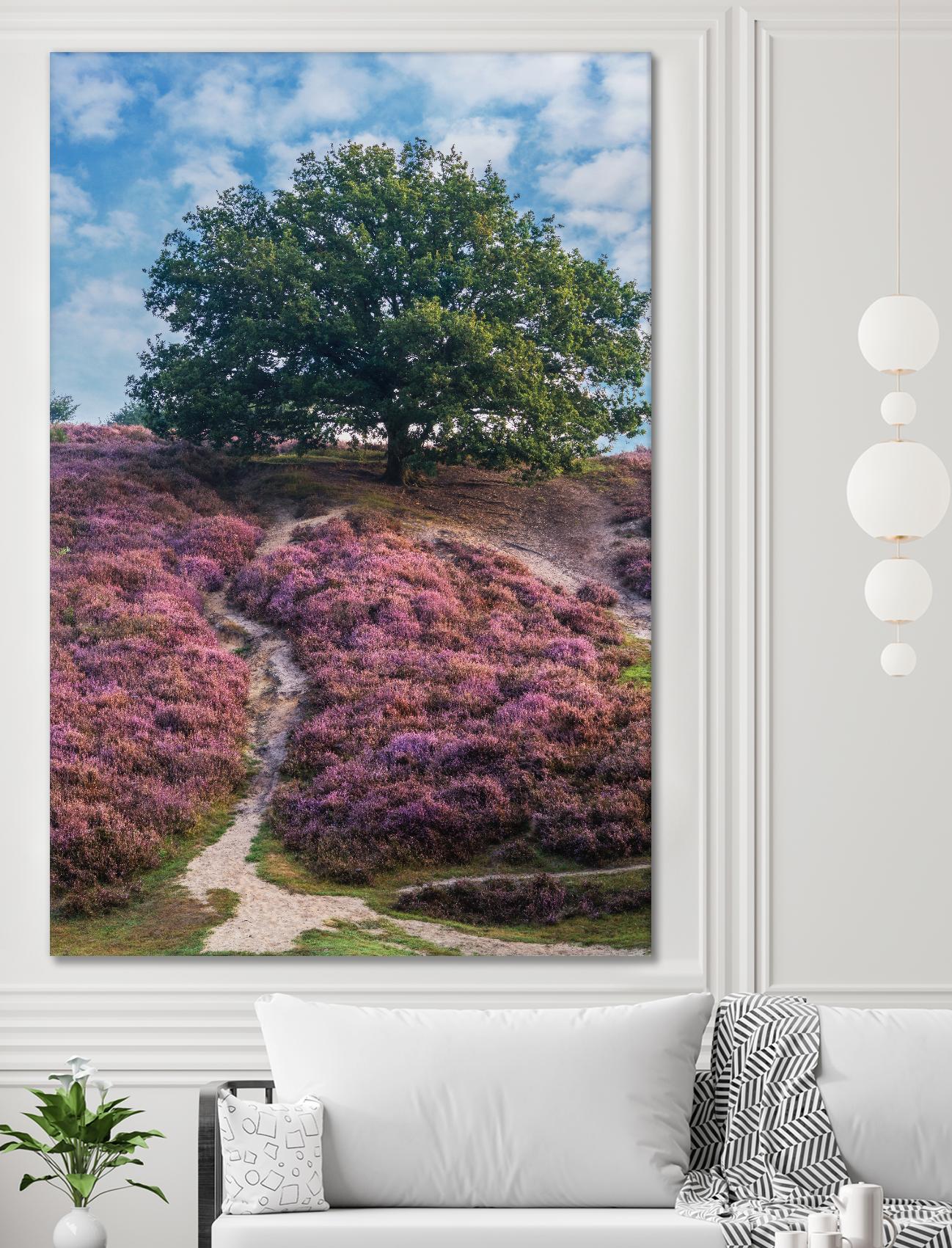 Purple Heath by Lars Van de Goor on GIANT ART - multicolor photography; landscapes