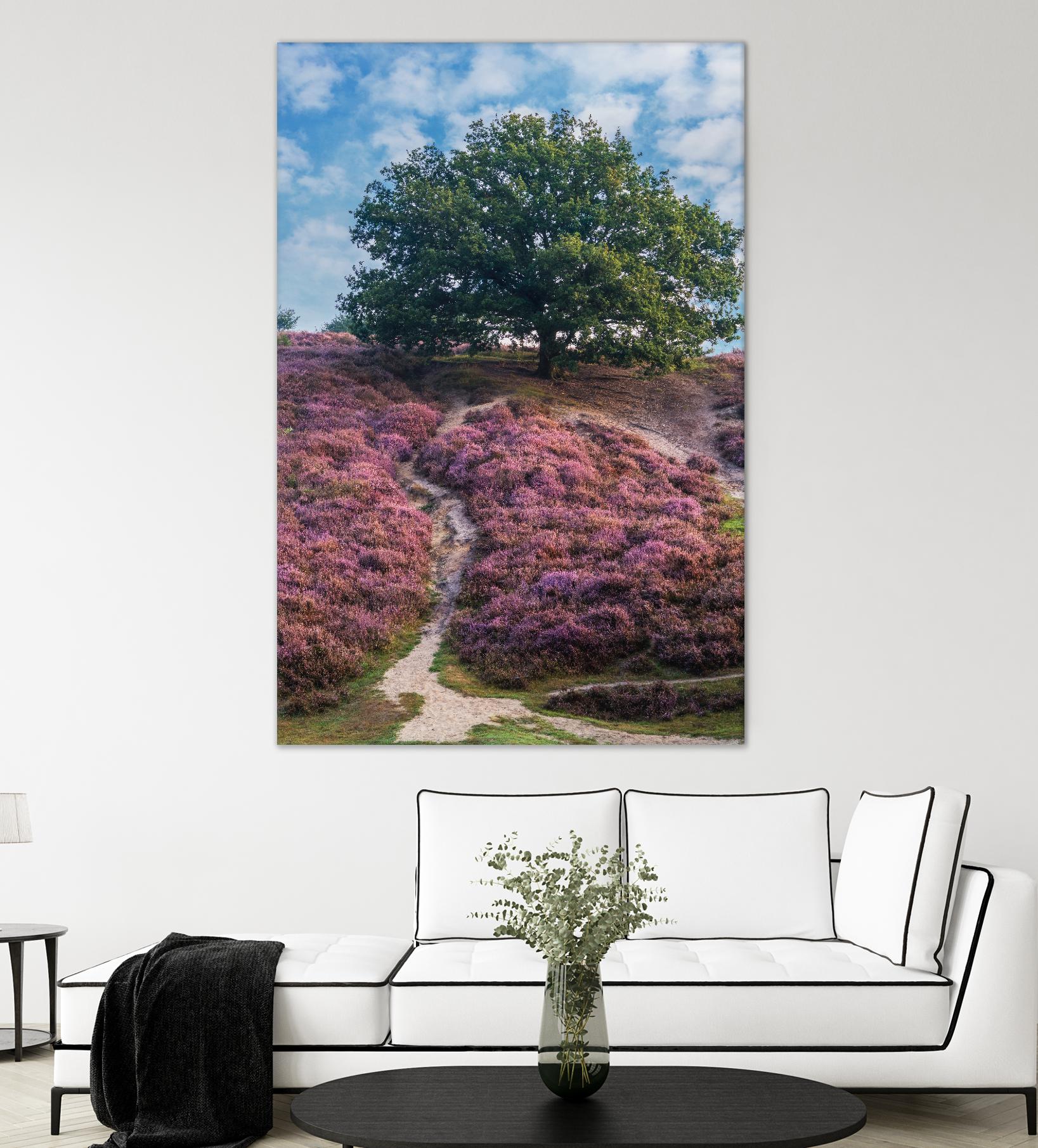 Purple Heath by Lars Van de Goor on GIANT ART - multicolor photography; landscapes