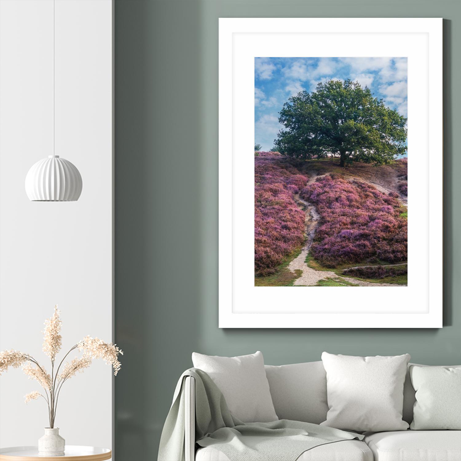 Purple Heath by Lars Van de Goor on GIANT ART - multicolor photography; landscapes