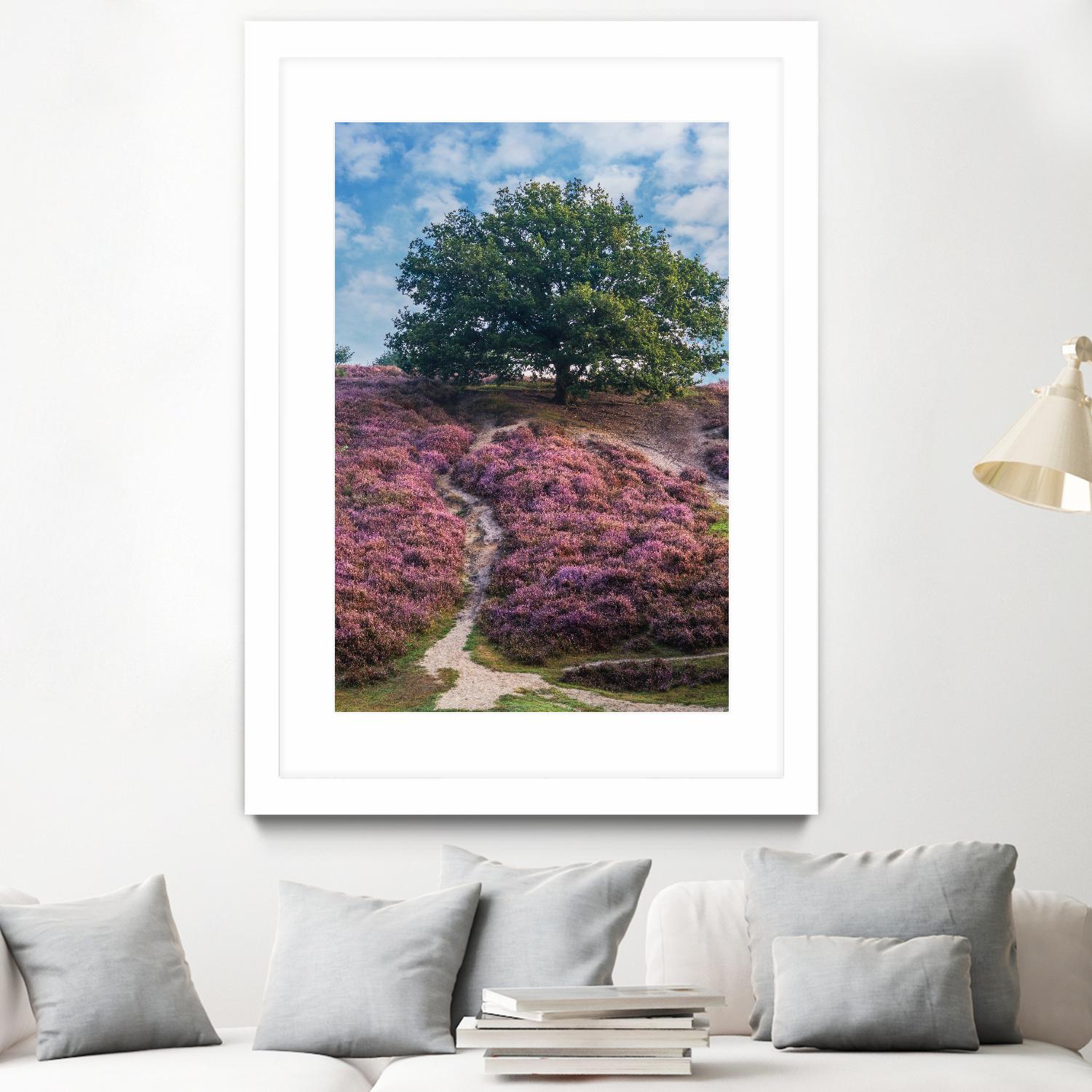 Purple Heath by Lars Van de Goor on GIANT ART - multicolor photography; landscapes
