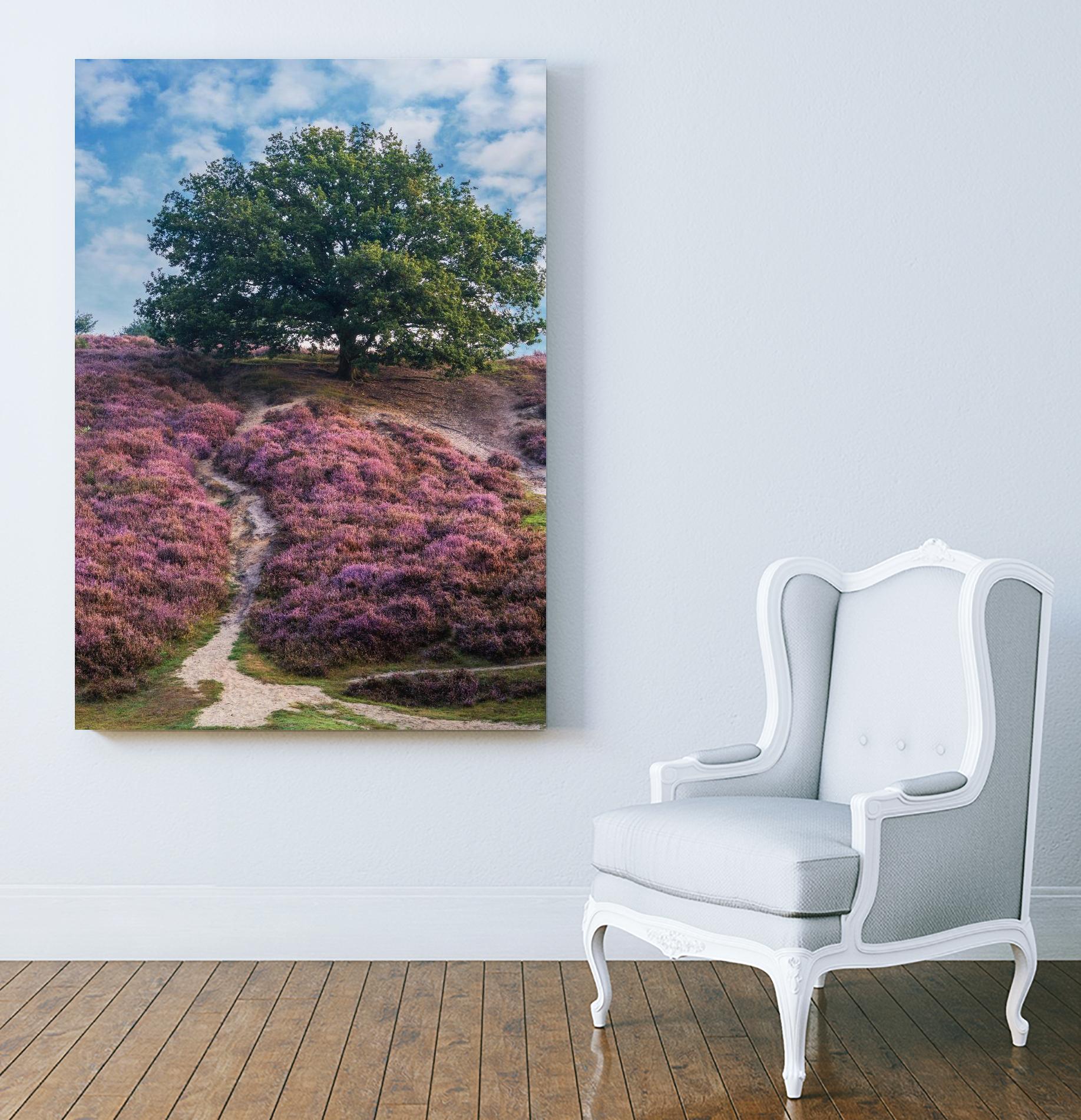 Purple Heath by Lars Van de Goor on GIANT ART - multicolor photography; landscapes