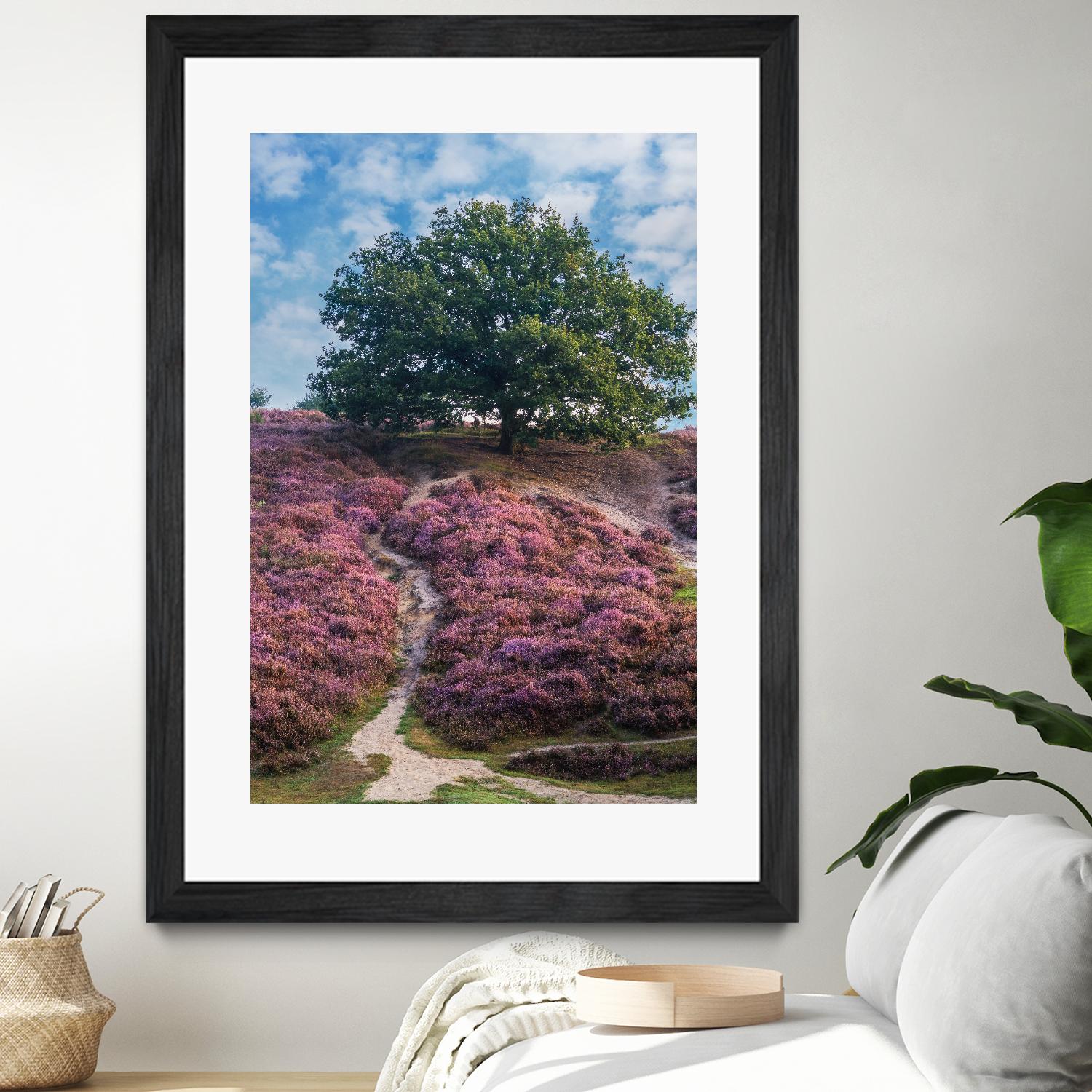 Purple Heath by Lars Van de Goor on GIANT ART - multicolor photography; landscapes