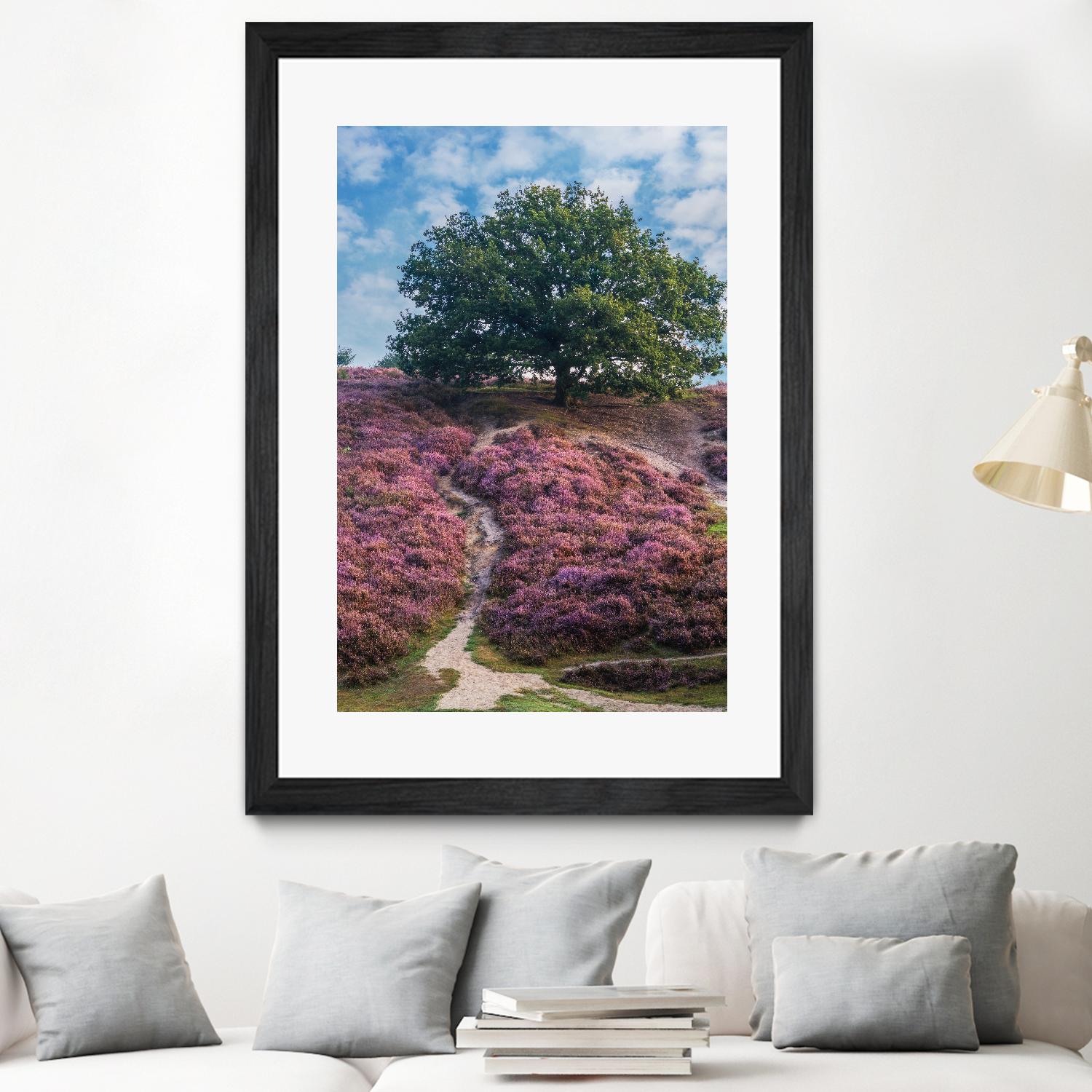 Purple Heath by Lars Van de Goor on GIANT ART - multicolor photography; landscapes