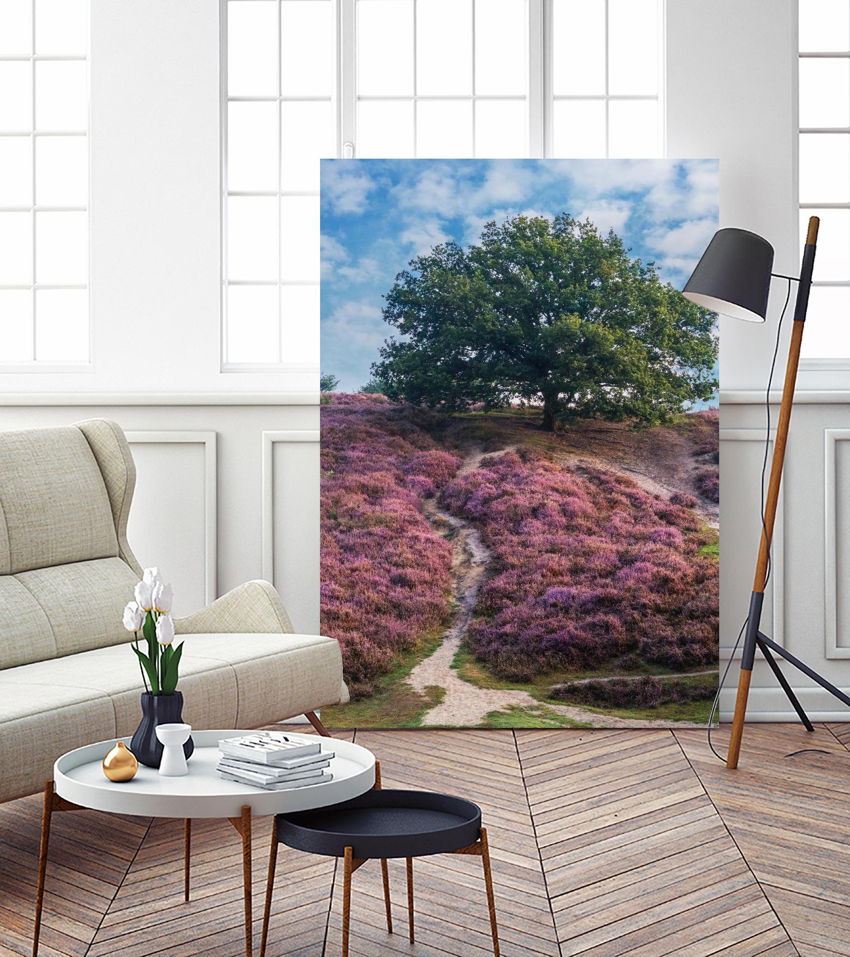 Purple Heath by Lars Van de Goor on GIANT ART - multicolor photography; landscapes