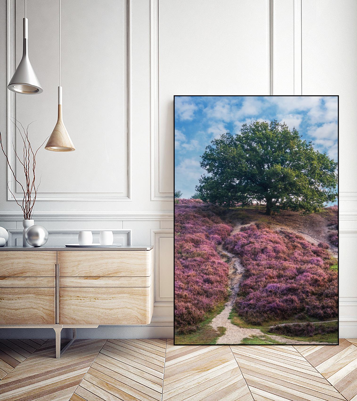 Purple Heath by Lars Van de Goor on GIANT ART - multicolor photography; landscapes