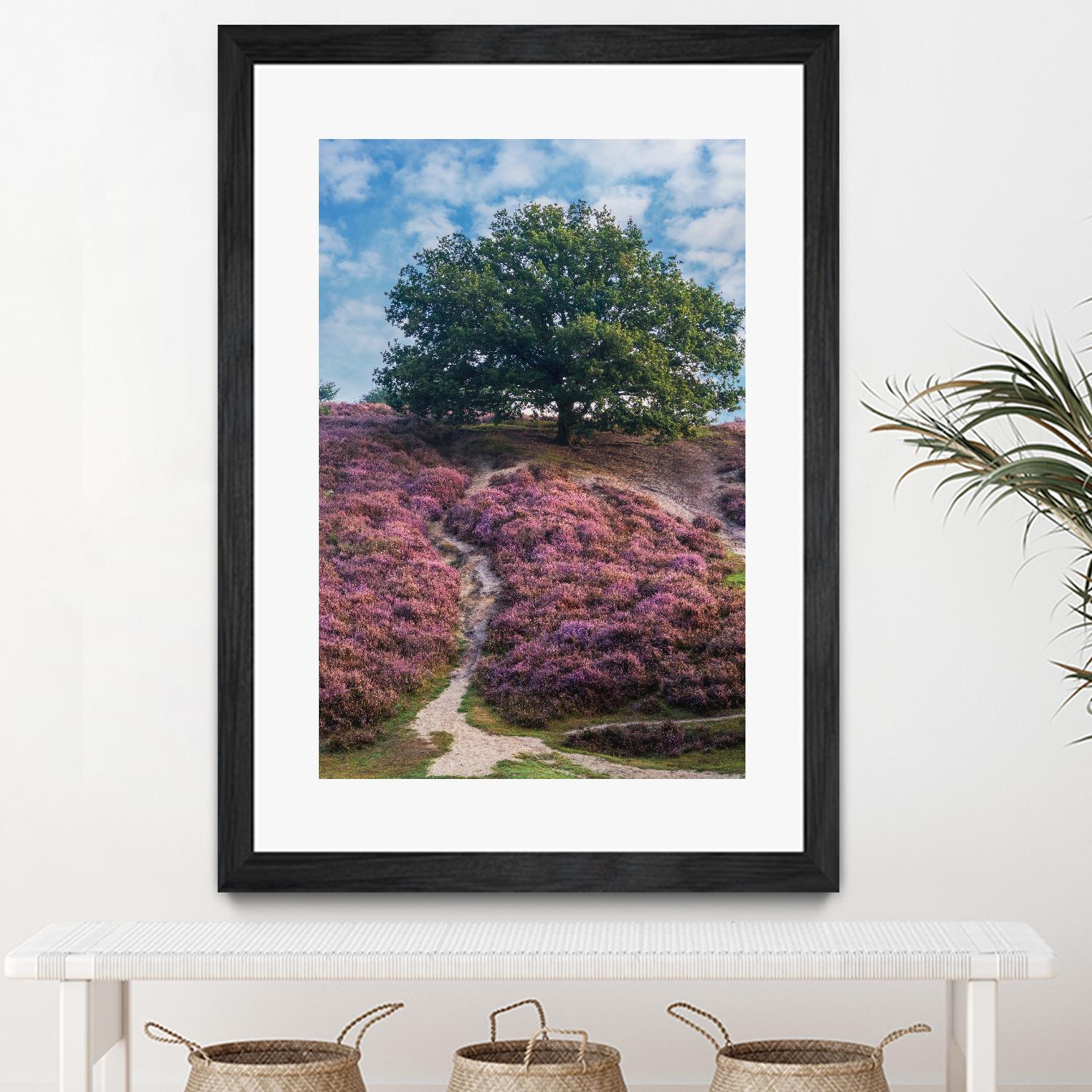 Purple Heath by Lars Van de Goor on GIANT ART - multicolor photography; landscapes