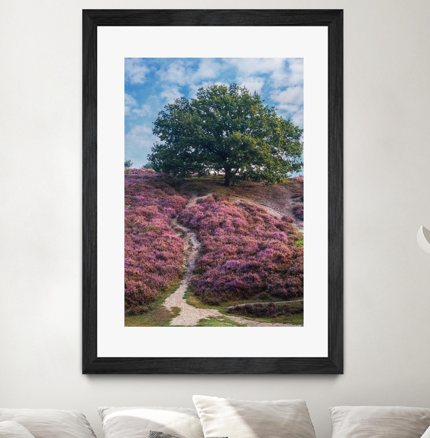 Purple Heath by Lars Van de Goor on GIANT ART - multicolor photography; landscapes