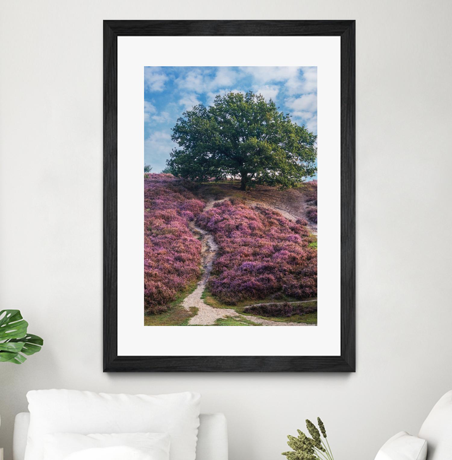 Purple Heath by Lars Van de Goor on GIANT ART - multicolor photography; landscapes