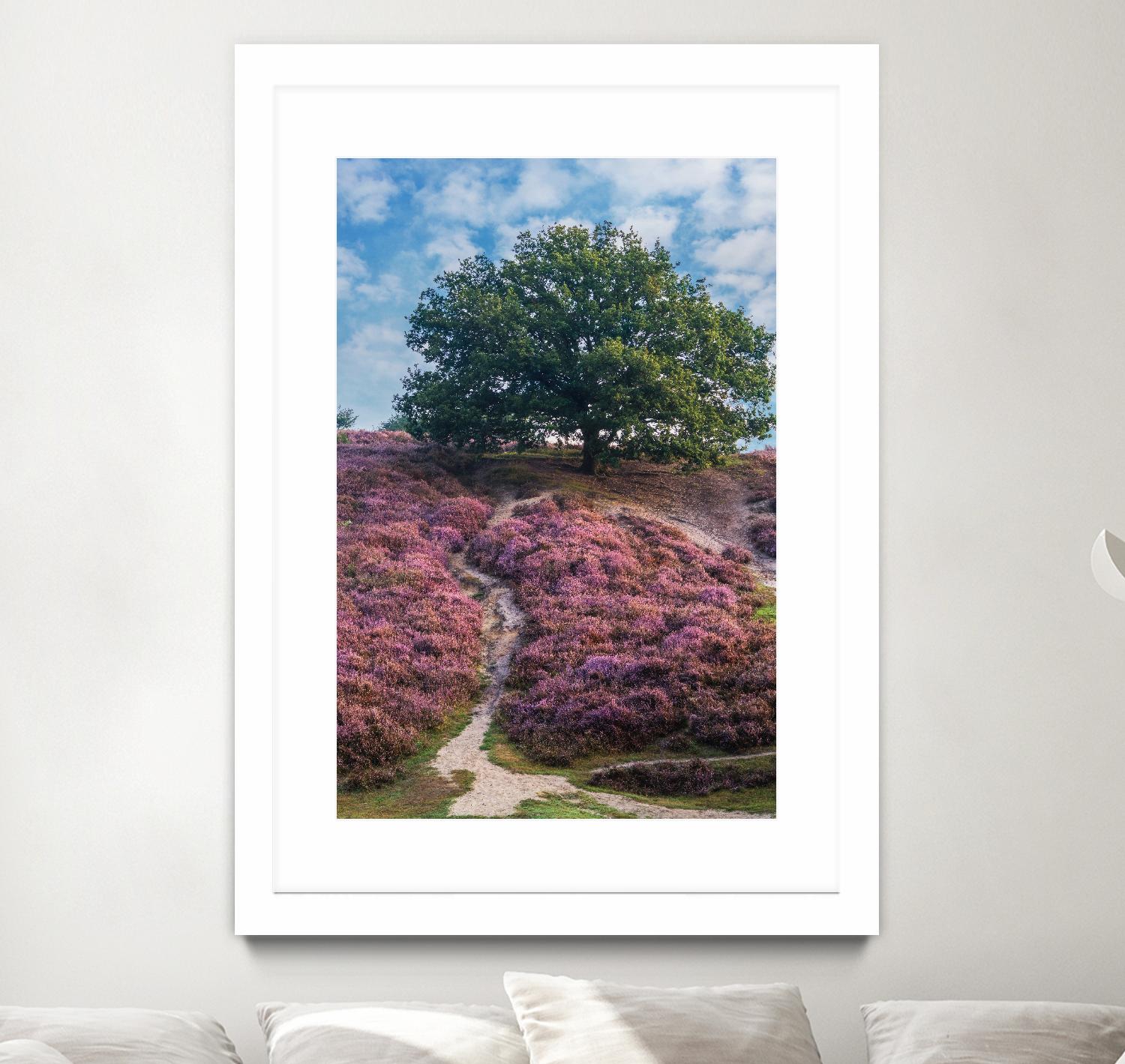 Purple Heath by Lars Van de Goor on GIANT ART - multicolor photography; landscapes
