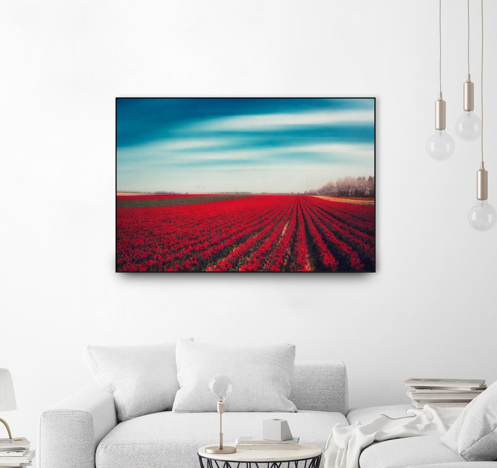 Tulips by Dirk Wuestenhagen on GIANT ART - multicolor photography; landscapes