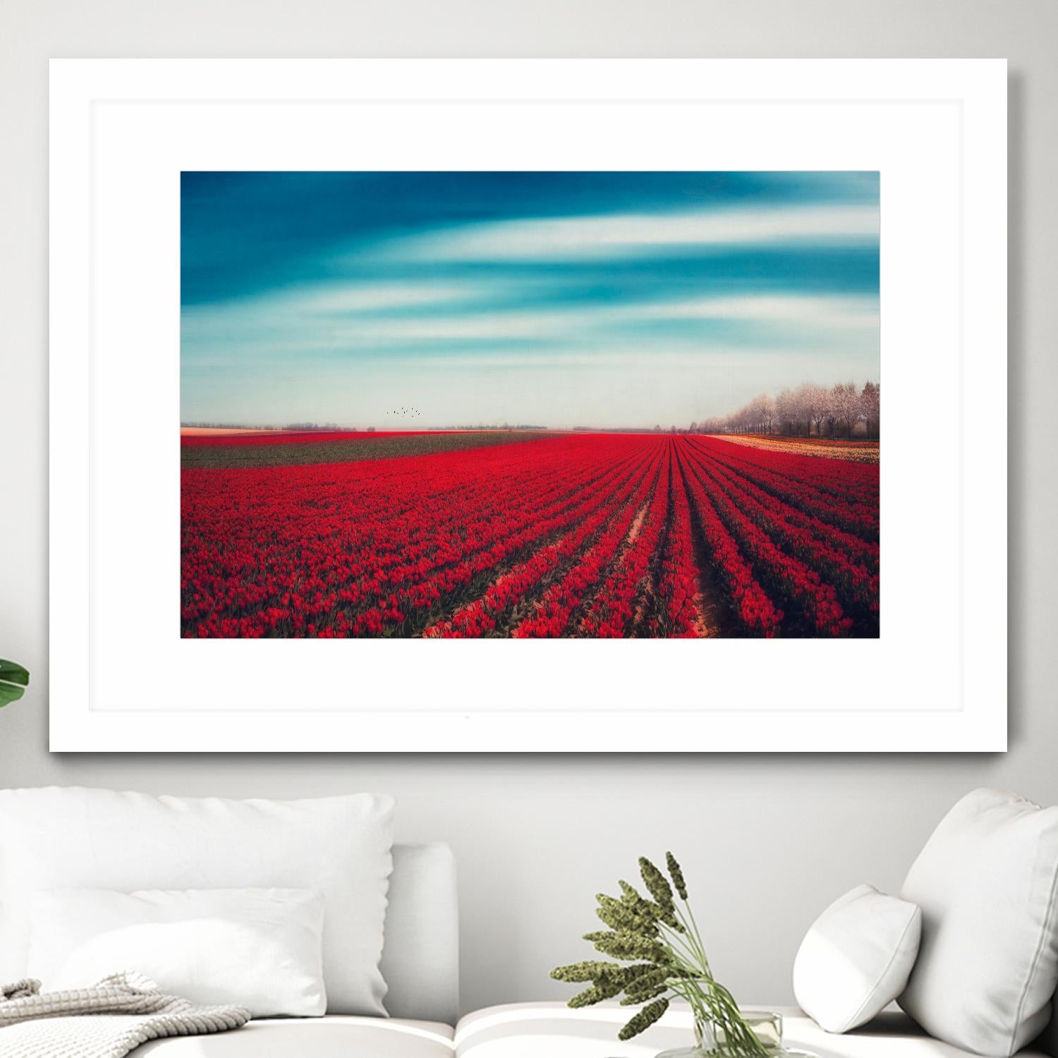 Tulips by Dirk Wuestenhagen on GIANT ART - multicolor photography; landscapes
