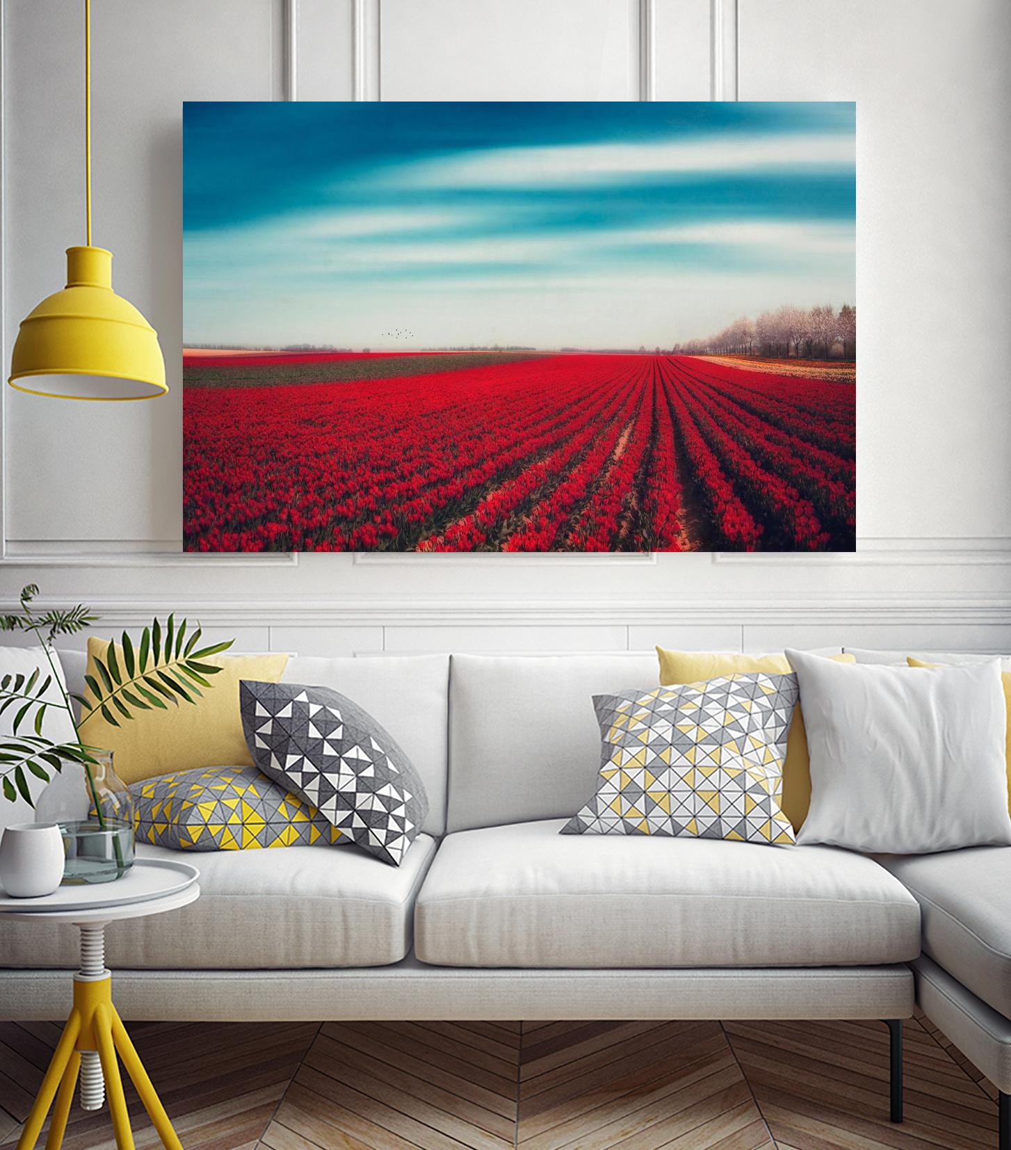 Tulips by Dirk Wuestenhagen on GIANT ART - multicolor photography; landscapes