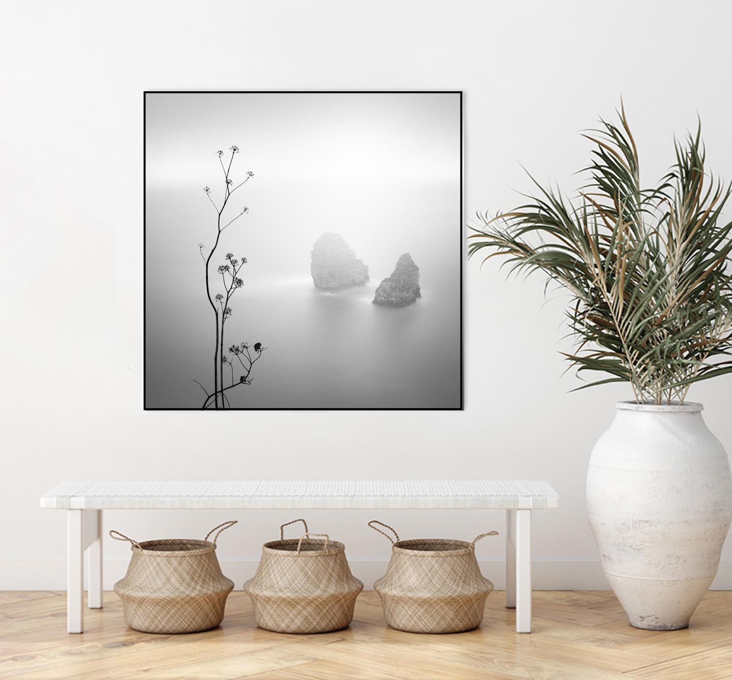 Misty Rocks by Alexandre Manuel on GIANT ART - grey landscape