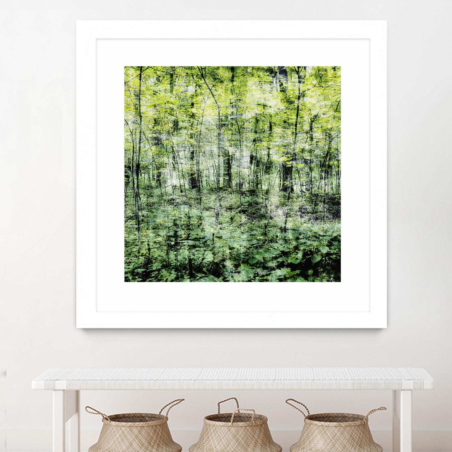 Linear Muse I by John Bingham on GIANT ART - green Trees