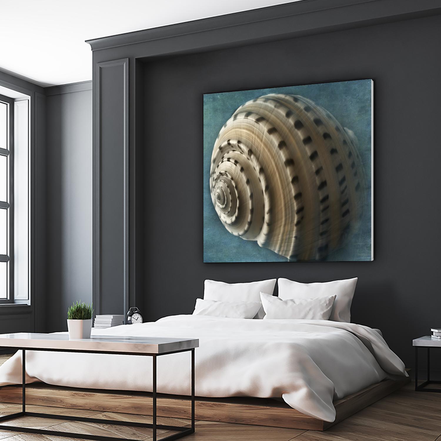 Three Shades of Blue Conch by Dennis Frates on GIANT ART - beige nautical