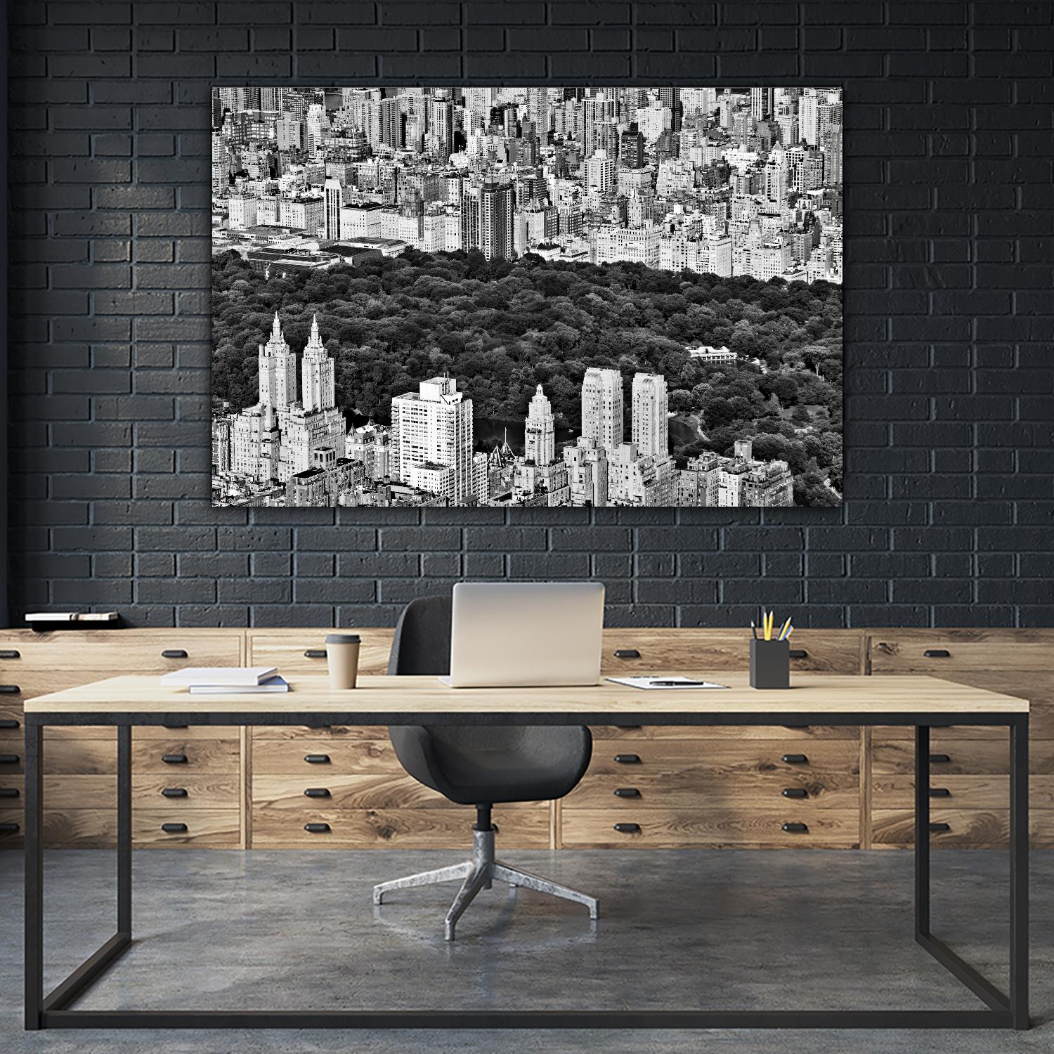 NYC Central Park by Daniel Stein on GIANT ART - white city scene