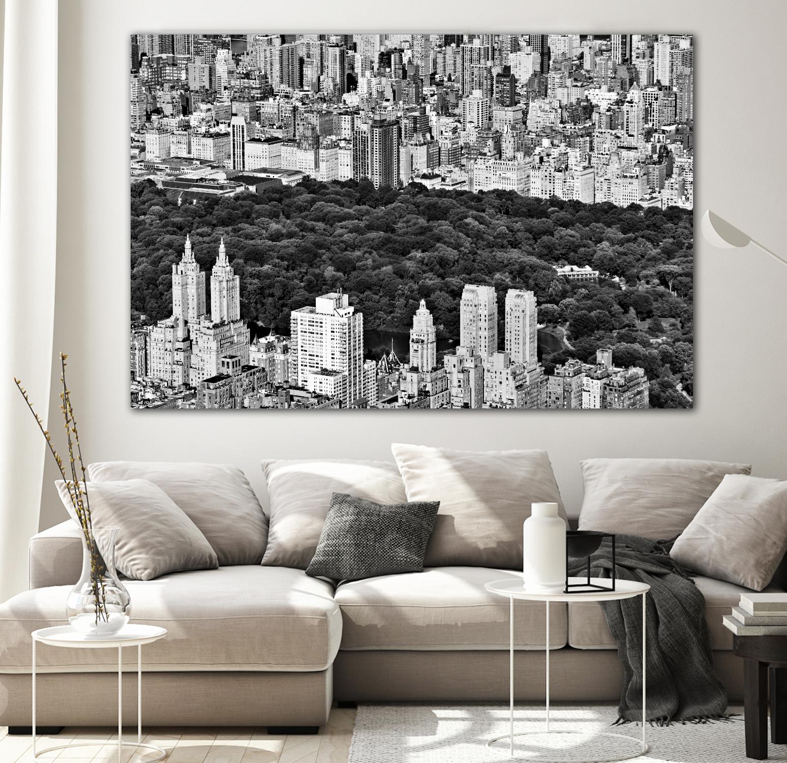NYC Central Park by Daniel Stein on GIANT ART - white city scene